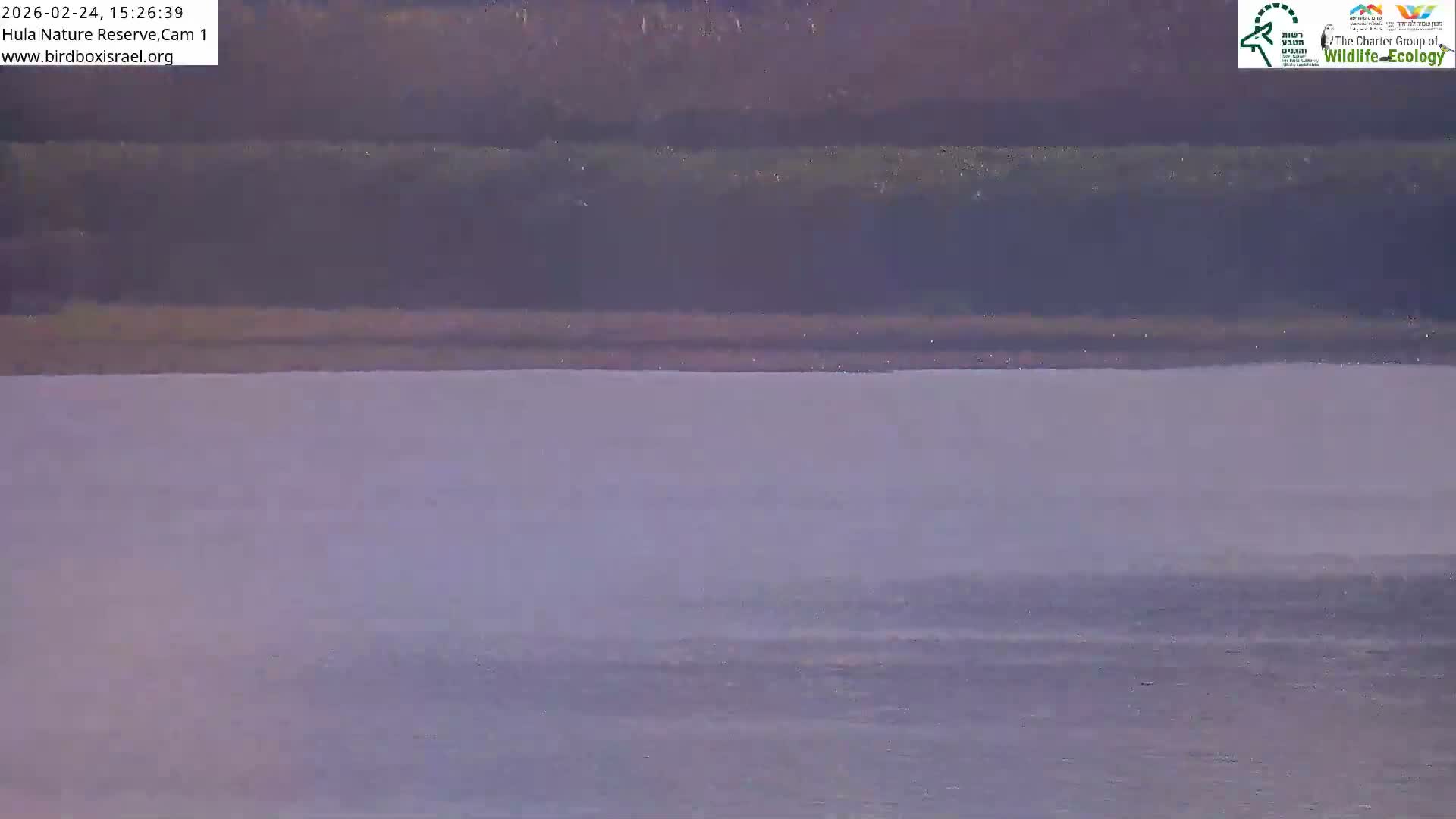 Hula Nature Reserve Bird Life & Israel-Syria Border Golan Hills & Hermon Mountain/Jabal al Shaykh View Live Cam - Yesud Hamaala, Northern, Israel