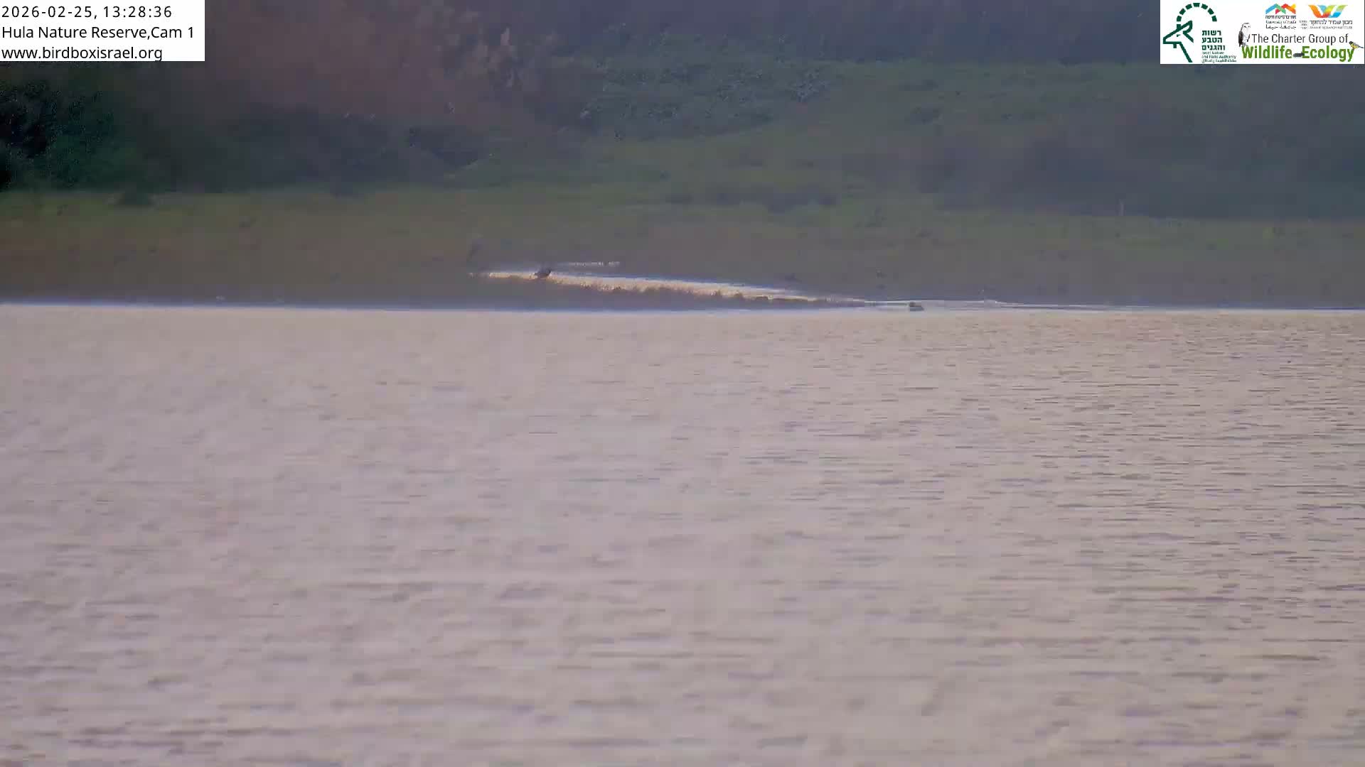 Hula Nature Reserve Bird Life & Israel-Syria Border Golan Hills & Hermon Mountain/Jabal al Shaykh View Live Cam - Yesud Hamaala, Northern, Israel