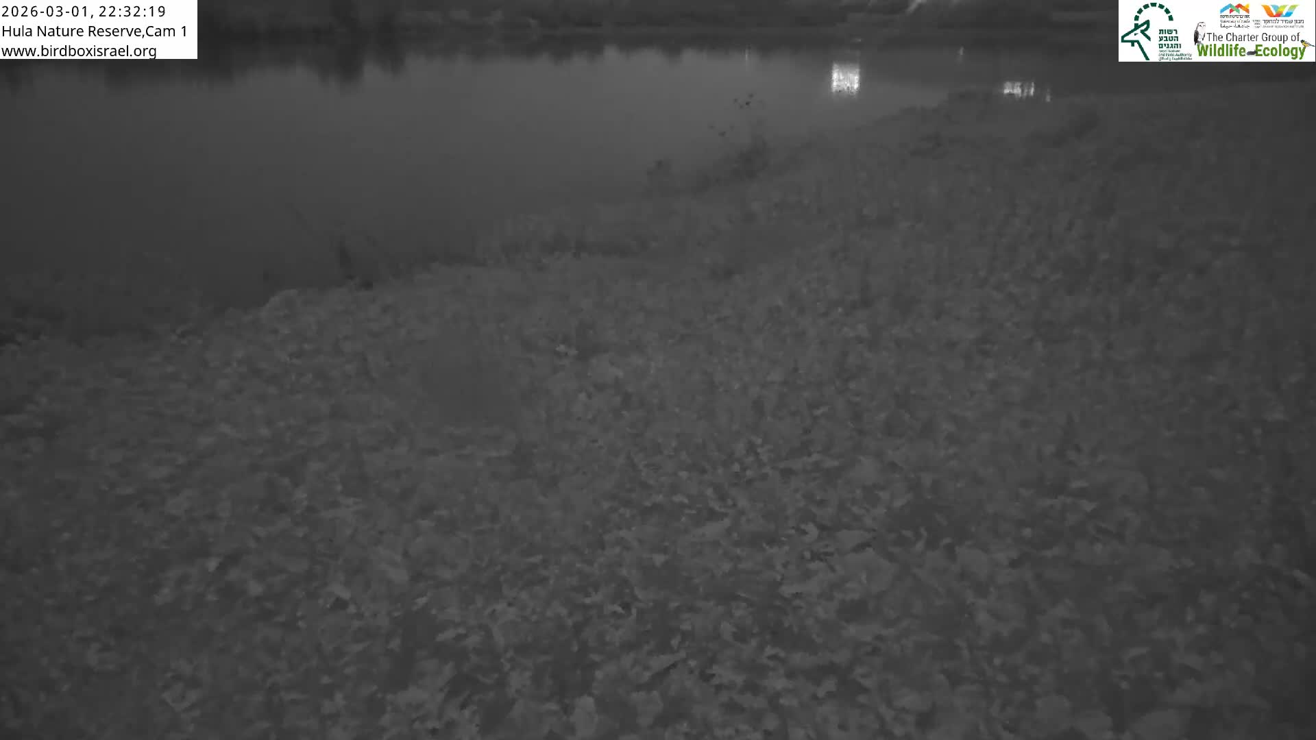 Hula Nature Reserve Bird Life & Israel-Syria Border Golan Hills & Hermon Mountain/Jabal al Shaykh View Live Cam - Yesud Hamaala, Northern, Israel