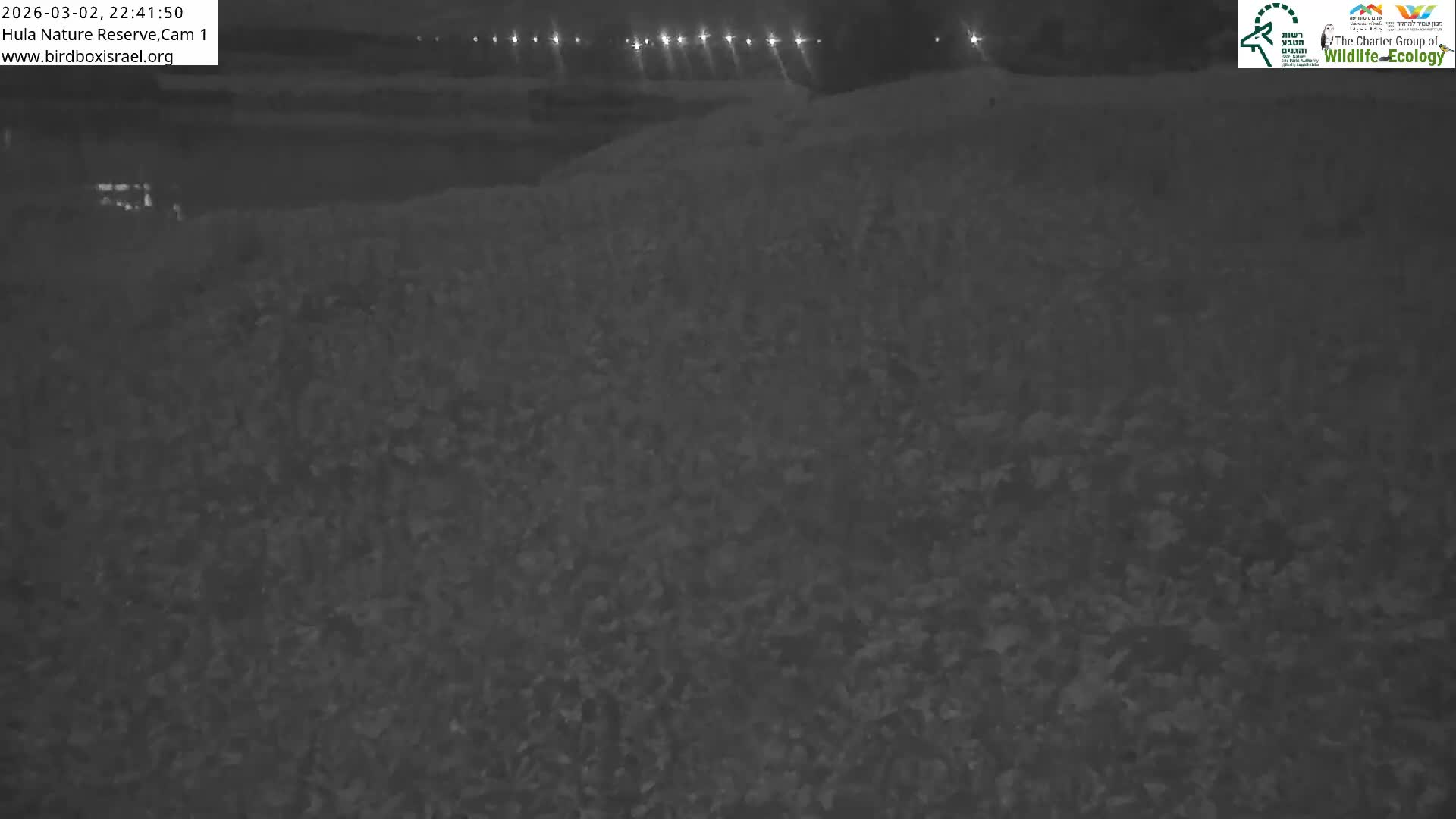 Hula Nature Reserve Bird Life & Israel-Syria Border Golan Hills & Hermon Mountain/Jabal al Shaykh View Live Cam - Yesud Hamaala, Northern, Israel