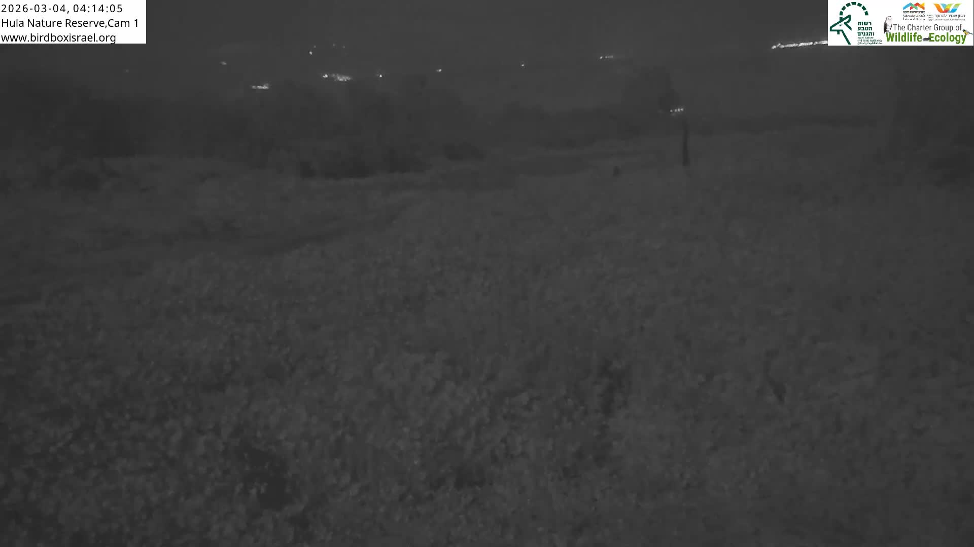 Hula Nature Reserve Bird Life & Israel-Syria Border Golan Hills & Hermon Mountain/Jabal al Shaykh View Live Cam - Yesud Hamaala, Northern, Israel