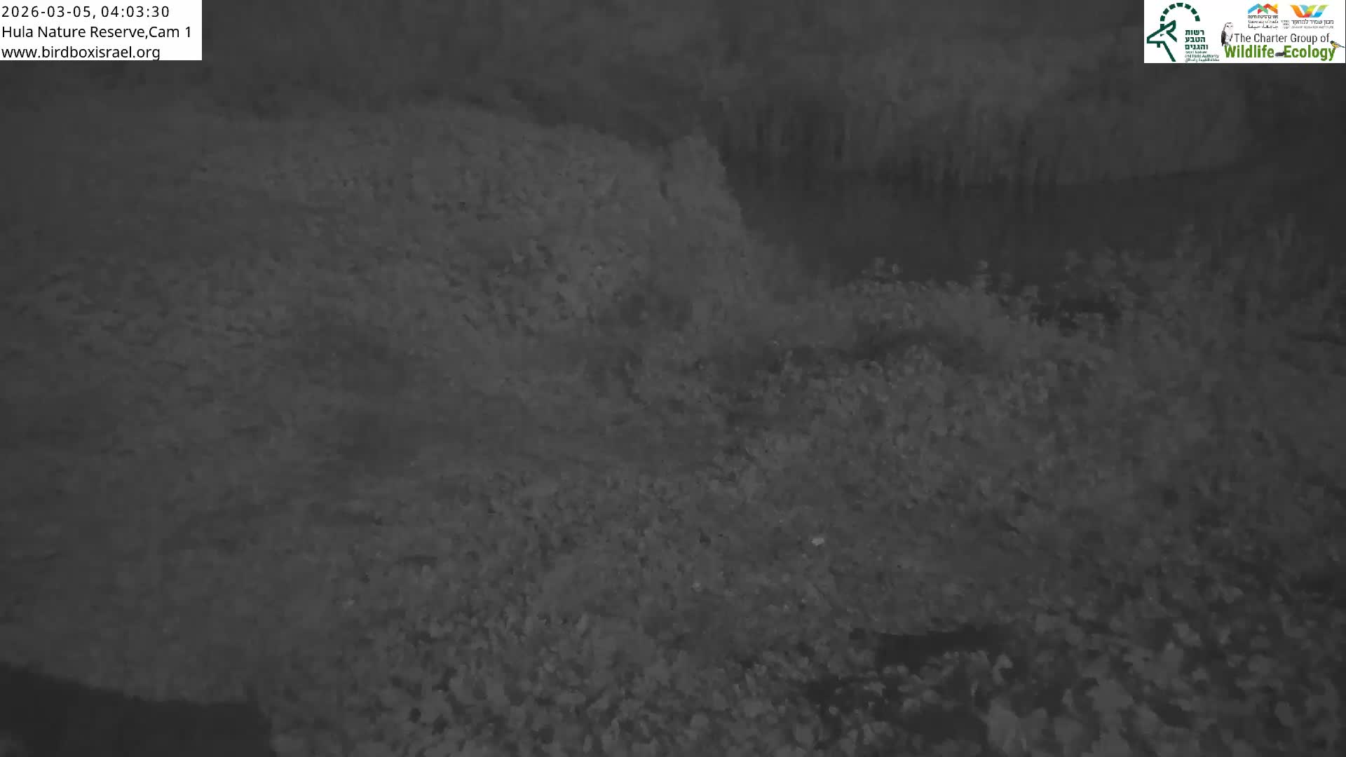 Hula Nature Reserve Bird Life & Israel-Syria Border Golan Hills & Hermon Mountain/Jabal al Shaykh View Live Cam - Yesud Hamaala, Northern, Israel