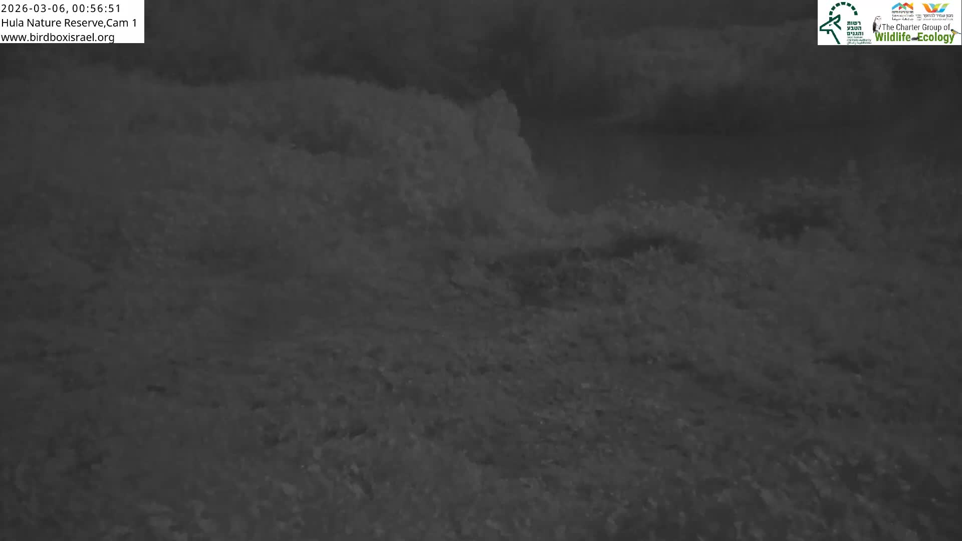 Hula Nature Reserve Bird Life & Israel-Syria Border Golan Hills & Hermon Mountain/Jabal al Shaykh View Live Cam - Yesud Hamaala, Northern, Israel