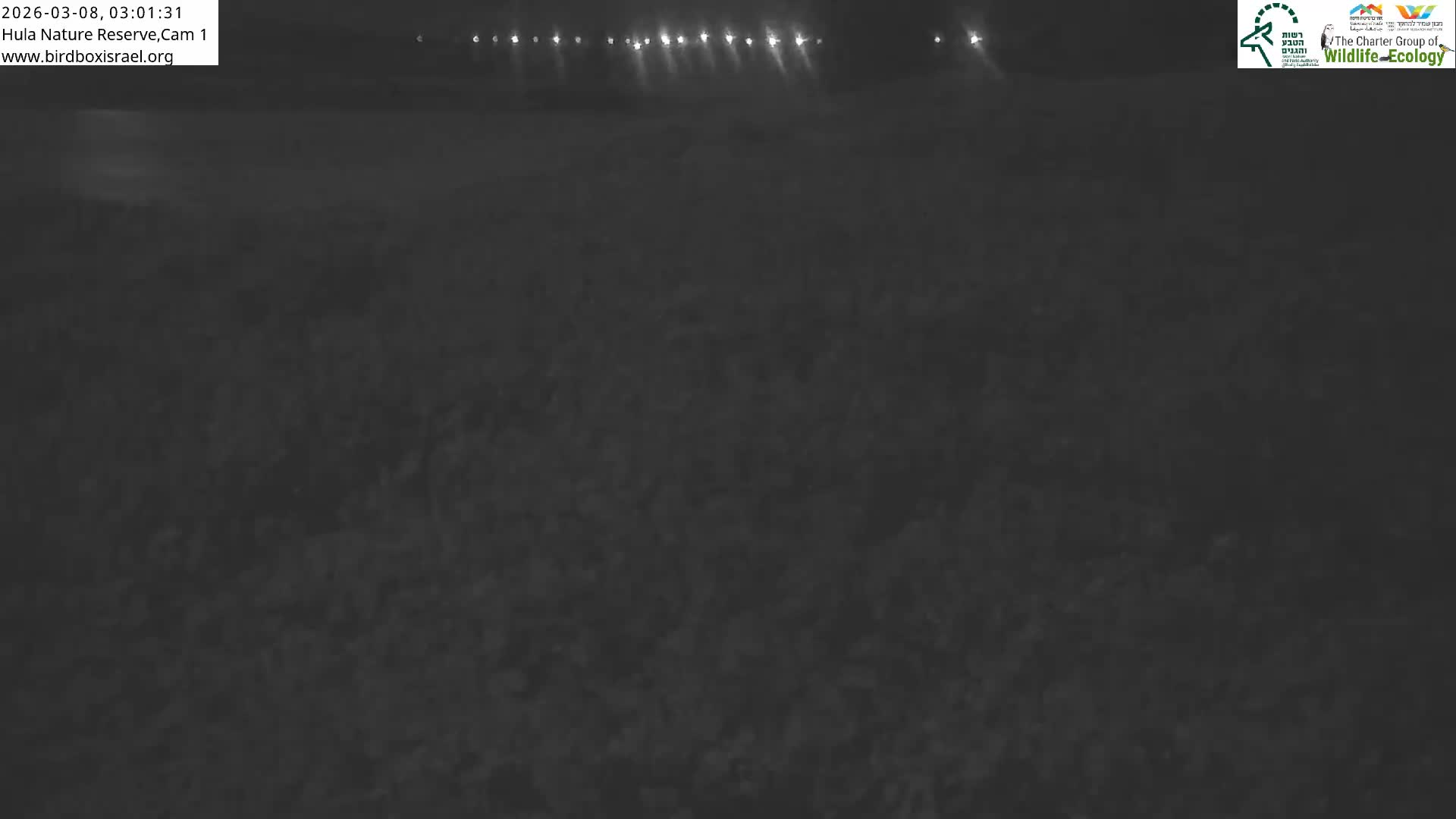 Hula Nature Reserve Bird Life & Israel-Syria Border Golan Hills & Hermon Mountain/Jabal al Shaykh View Live Cam - Yesud Hamaala, Northern, Israel