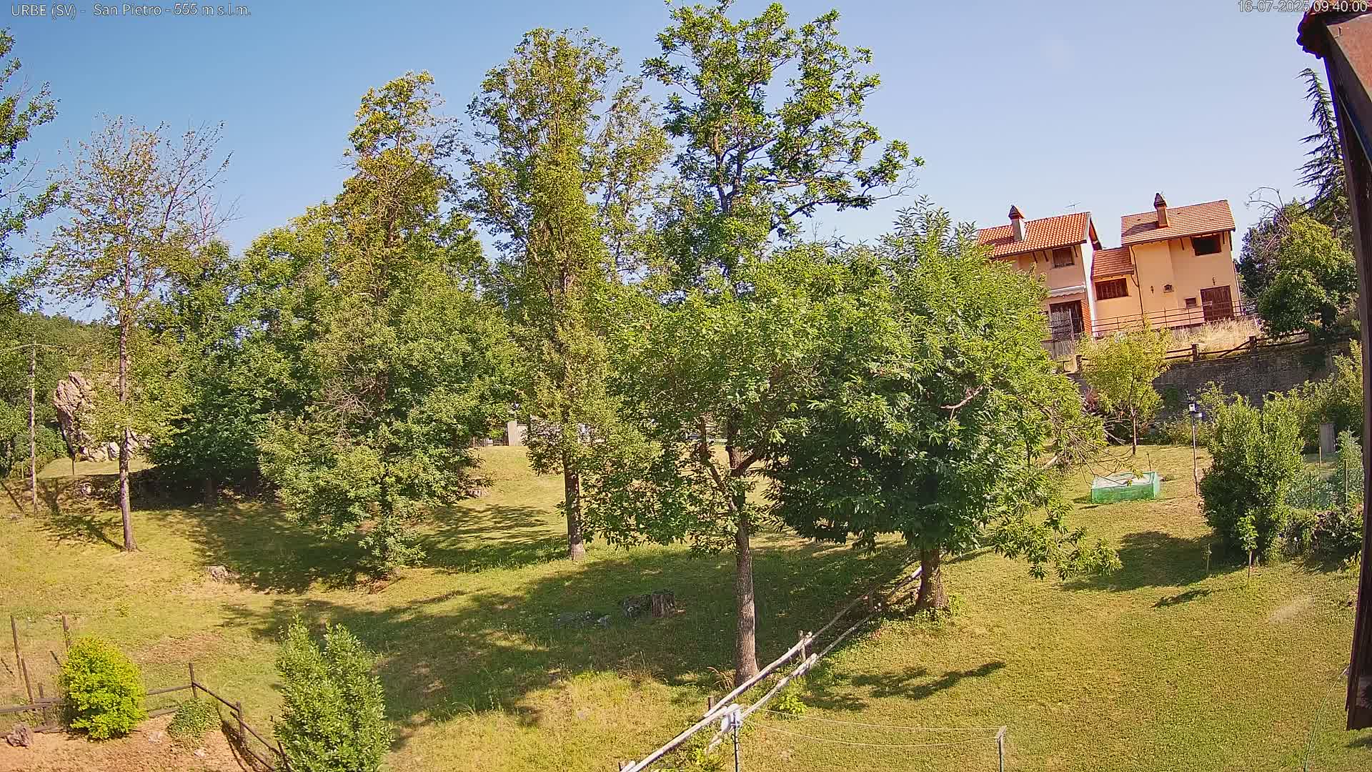 A sunny day reveals a grassy yard with several leafy green trees, a wooden fence, and two tan buildings visible on a hill in the distance.