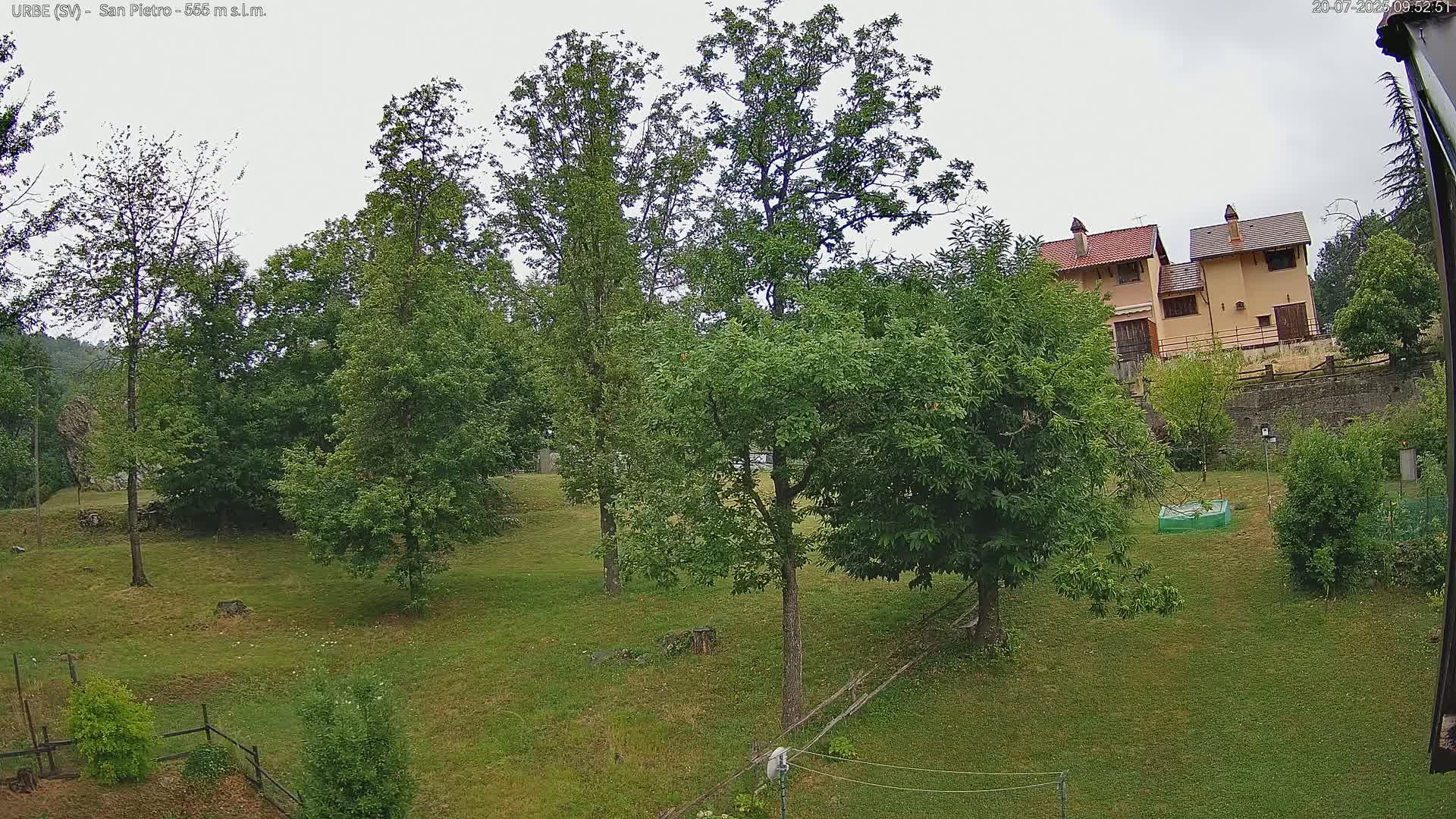A grassy hillside with several leafy green trees, a small garden, and a building in the background under an overcast sky.