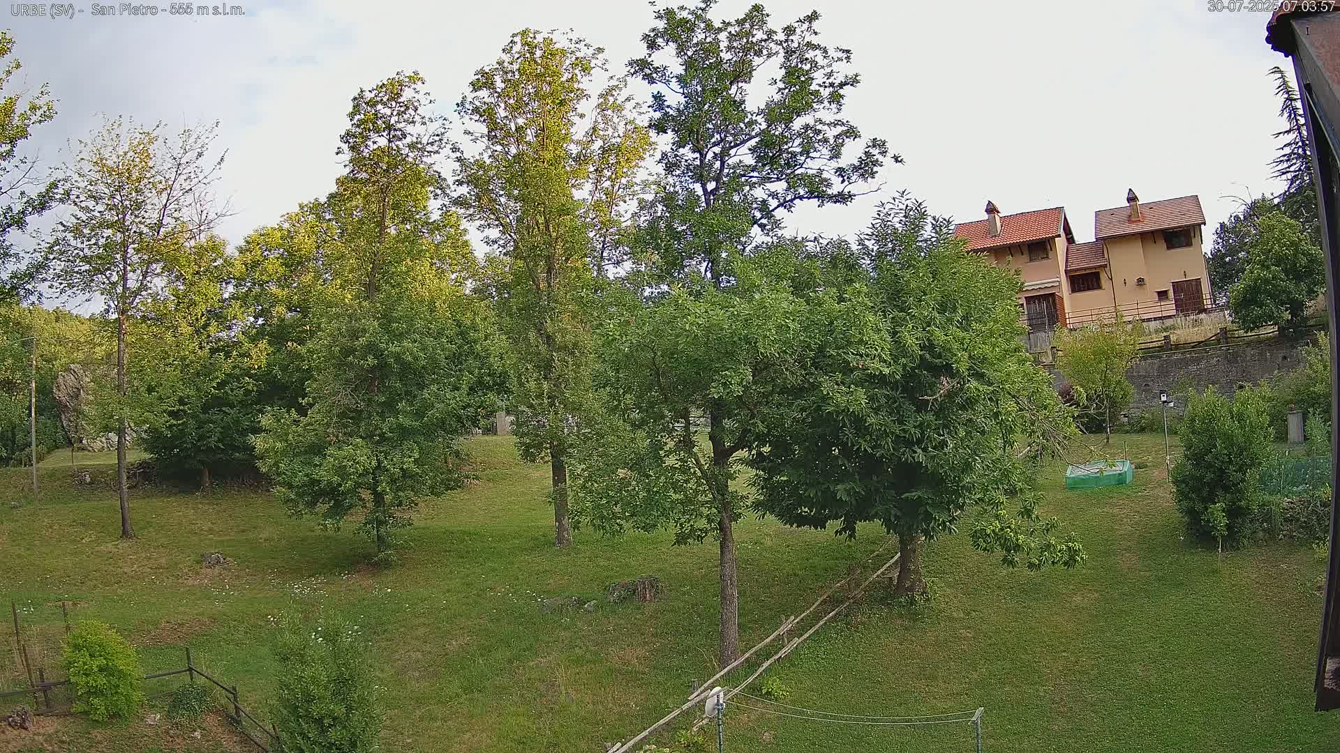 A grassy hillside with several leafy green trees, a small garden, and a building in the background under an overcast sky.