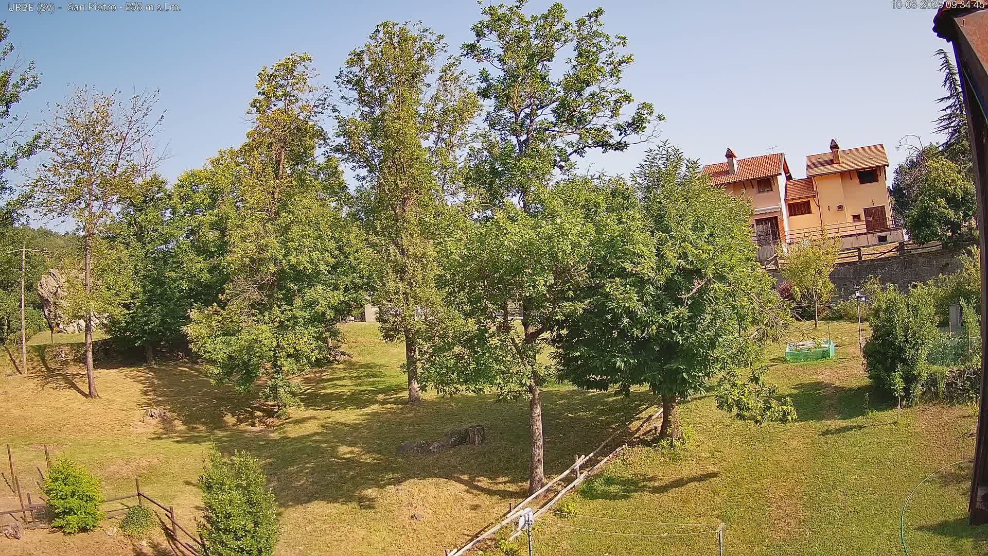 A grassy yard with several trees and a couple of houses in the background on a sunny day.