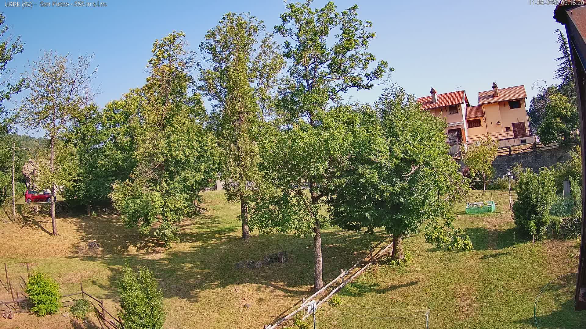 A sunny day reveals a grassy yard with several leafy green trees, a wooden fence, a small garden, and a couple of light-colored houses in the background.