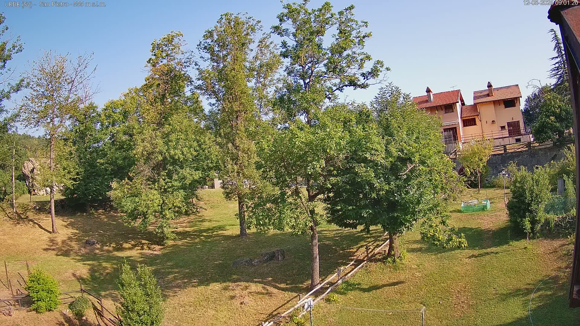 A grassy yard with several deciduous trees and a small house in the background on a sunny day.