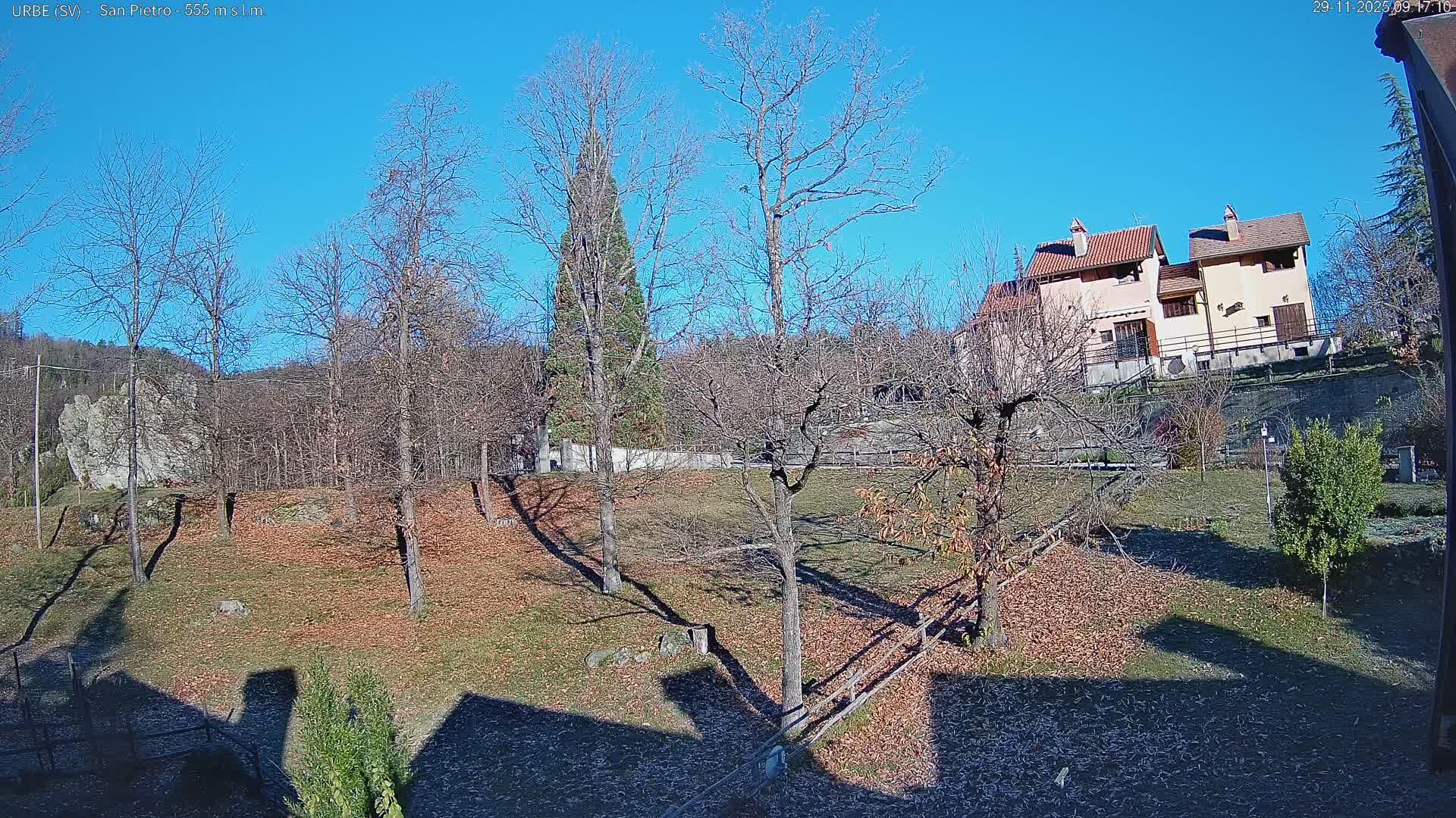 On a clear, sunny day, a landscape reveals mostly bare deciduous trees and ground covered with fallen brown leaves and patches of green grass on a sloping terrain, with traditional houses nestled on a hillside in the distance.