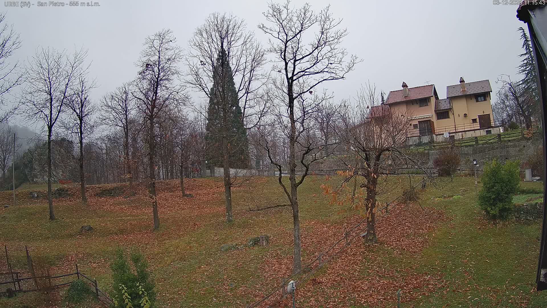A landscape view reveals a hillside covered in a mix of green grass and scattered brown autumn leaves, with numerous bare deciduous trees and a few houses perched on a higher slope, all under a dull, overcast sky.