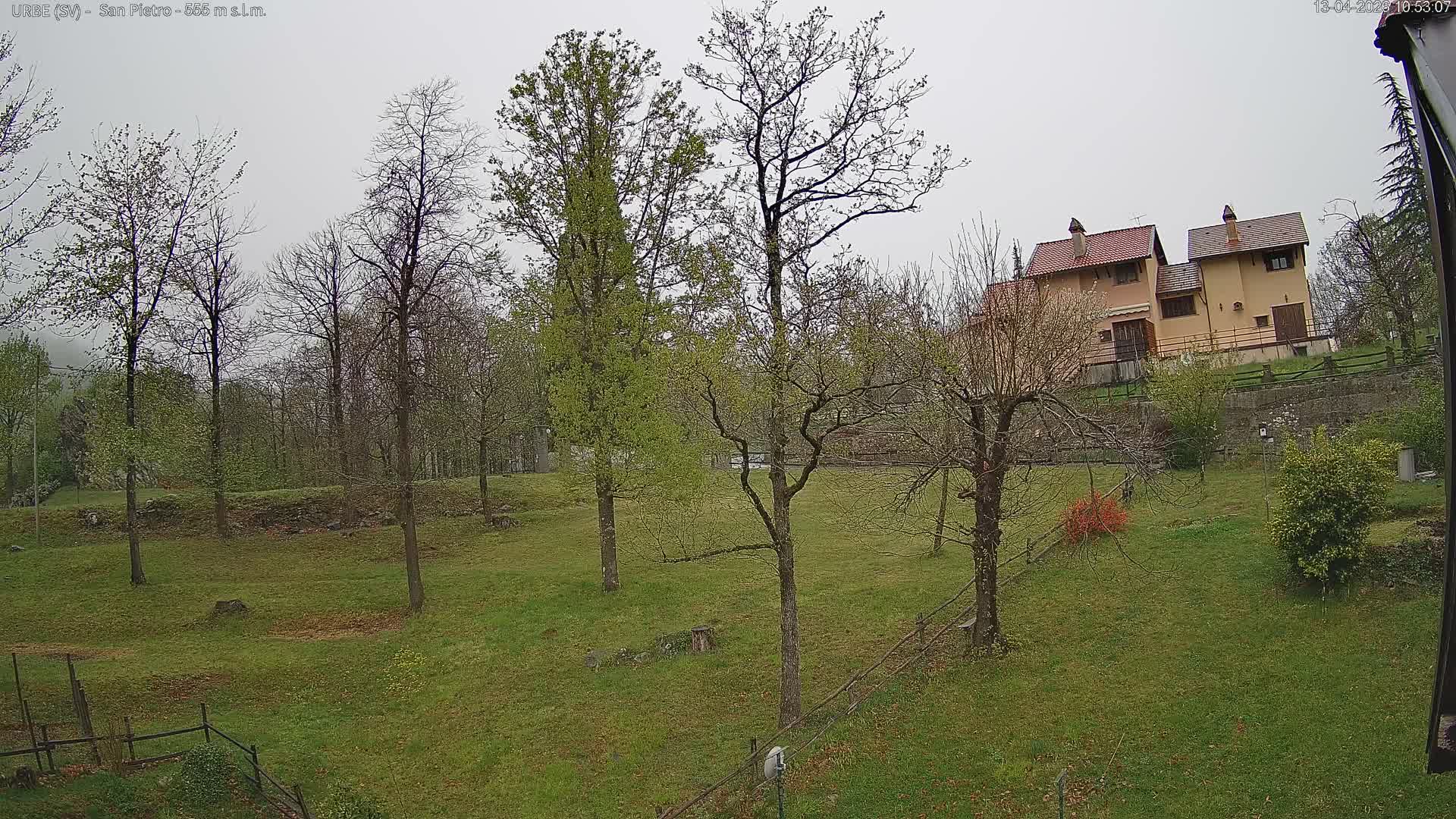 A landscape view reveals a hillside covered in a mix of green grass and scattered brown autumn leaves, with numerous bare deciduous trees and a few houses perched on a higher slope, all under a dull, overcast sky.