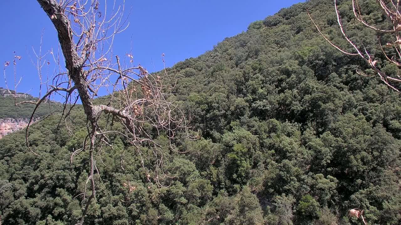 Vallon Pont d'Arc, Gorges de l'Ardèche (Ardeche River & Rafting) Live Cam - Largentière, Ardeche, Auvergne-Rhône-Alpes, France