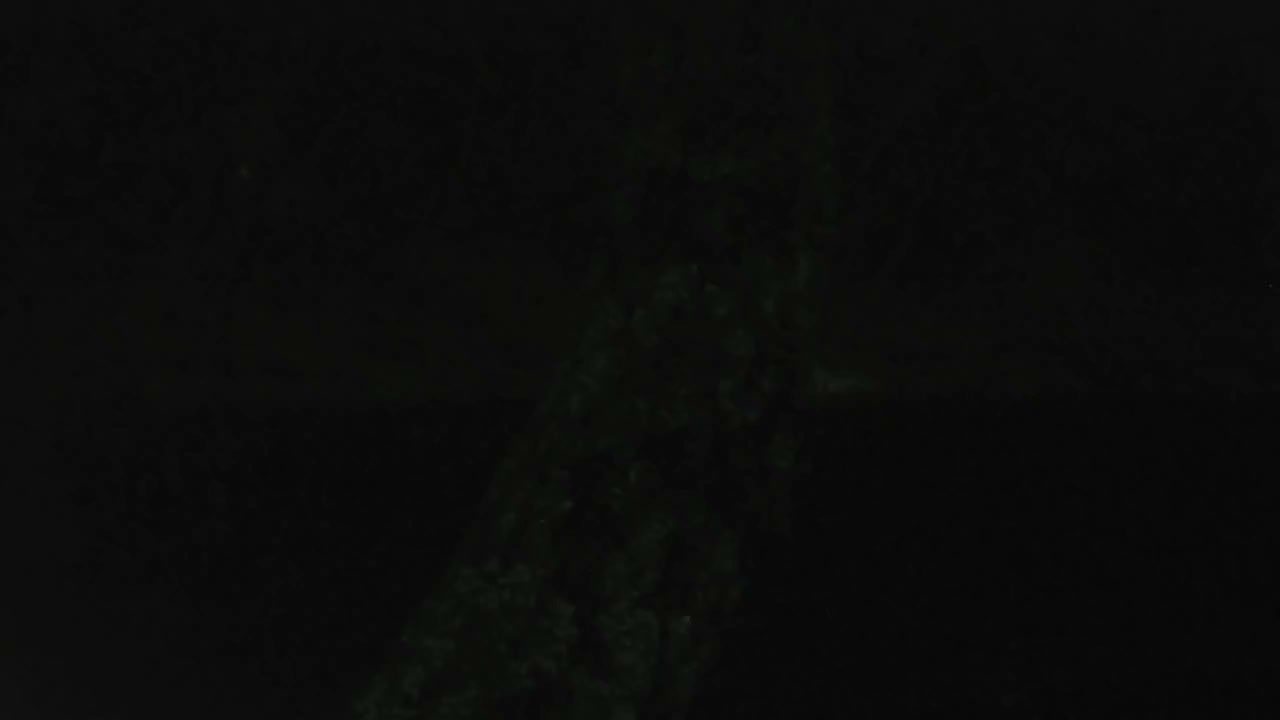 A wide, rippling river flows through a valley flanked by a densely forested hillside on one side and towering rocky cliffs on the other, all under an overcast sky.