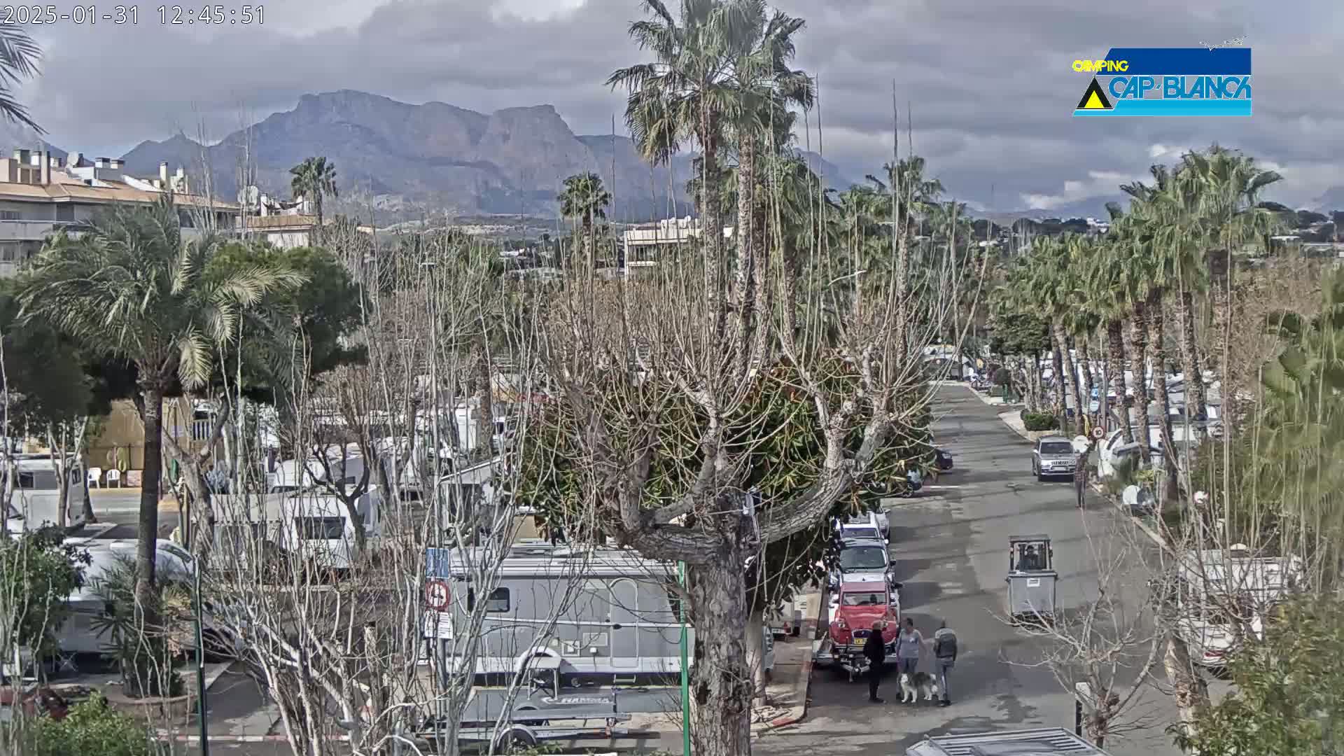A street lined with palm trees and recreational vehicles is situated below a mountain range under a cloudy sky.