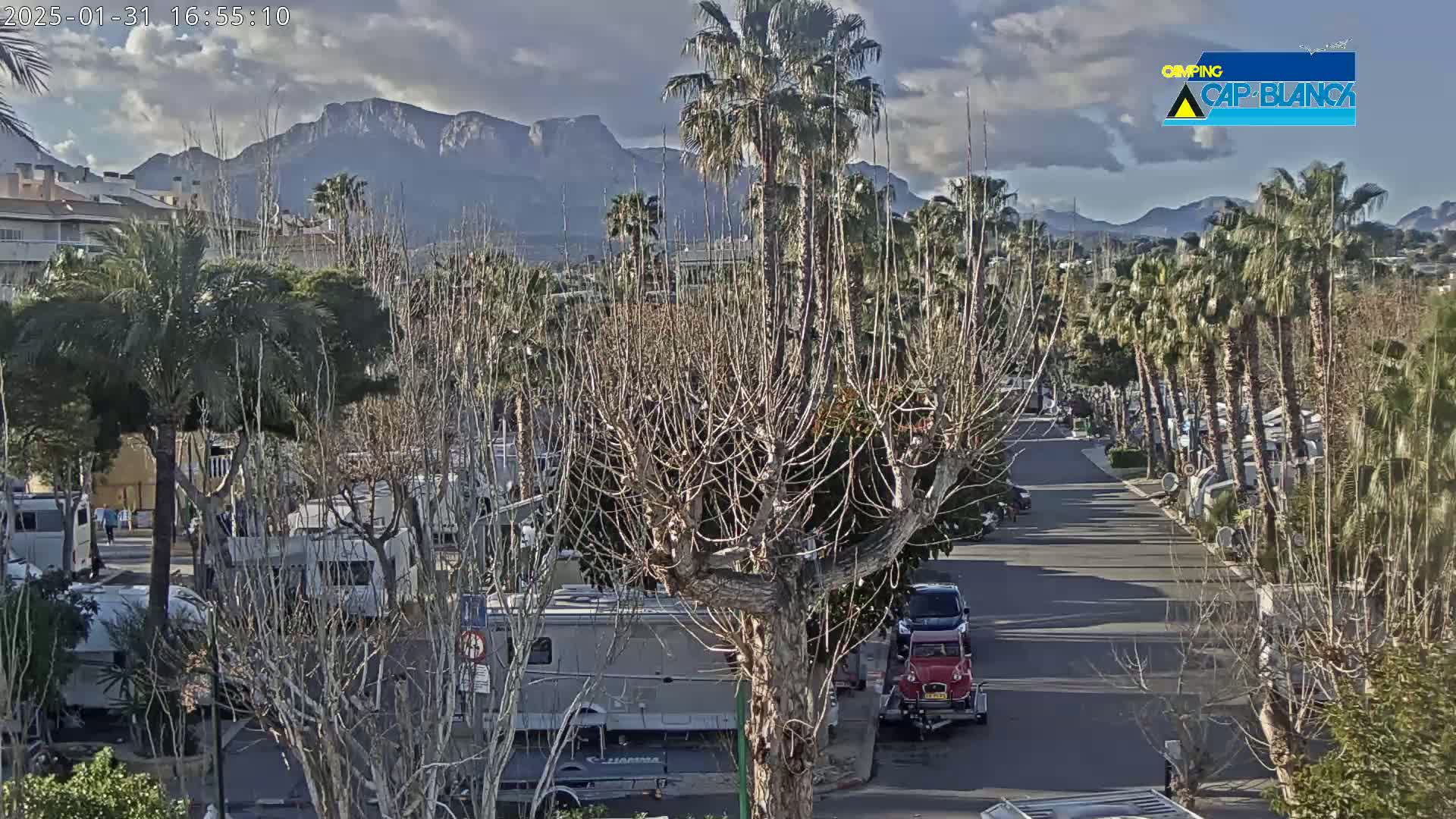 A street lined with palm trees and bare deciduous trees leads toward mountains under a partly cloudy sky, with recreational vehicles parked along the roadside.