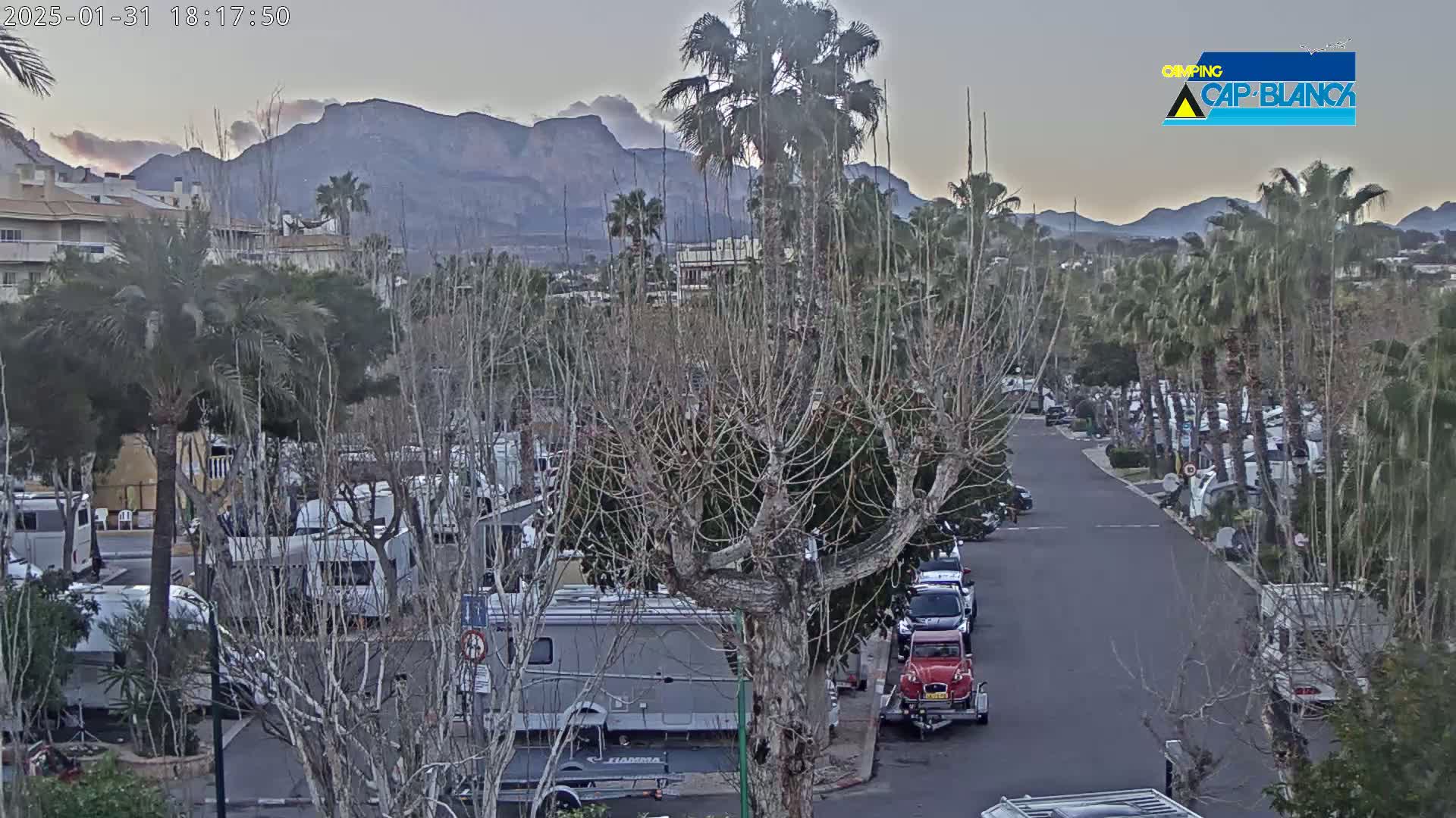A paved road winds through a campground of RVs and cars, nestled among bare trees and palm trees, with mountains visible in the background under a twilight sky.
