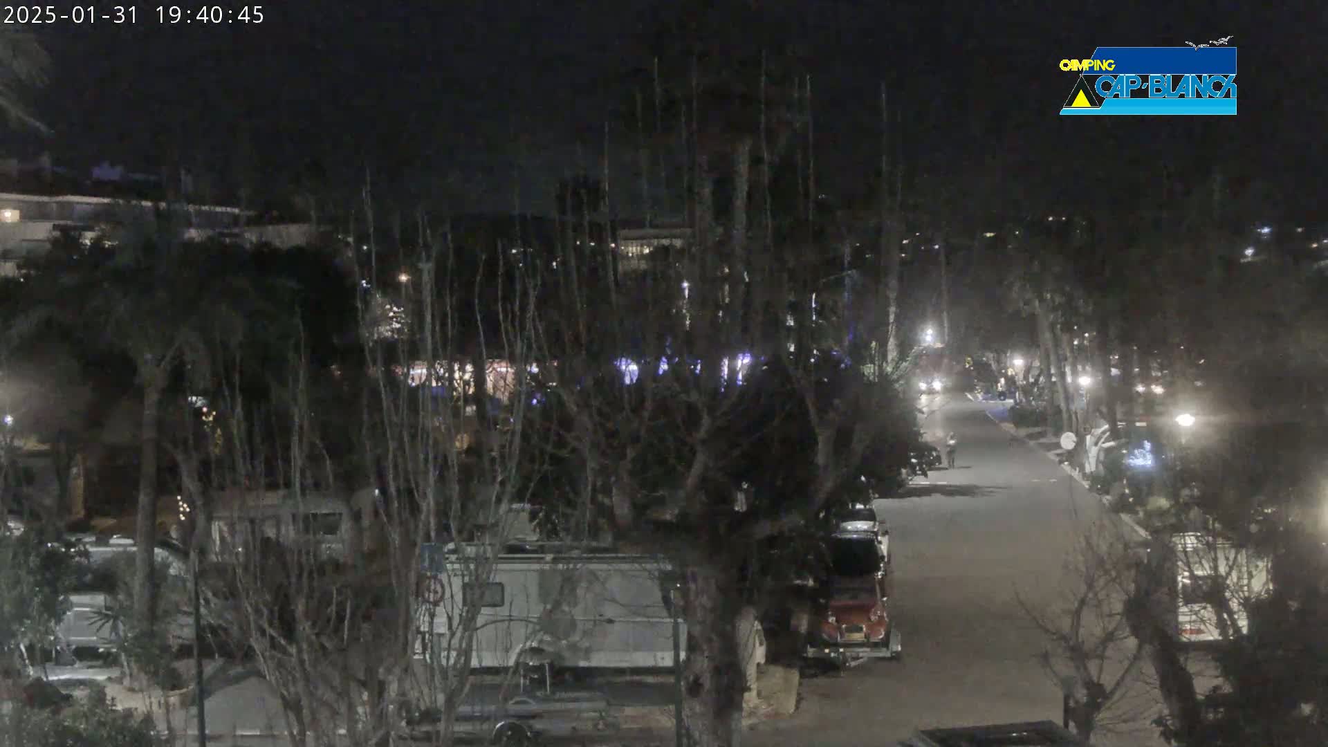 A nighttime, dimly lit street lined with parked RVs and cars, surrounded by bare trees under a dark sky.
