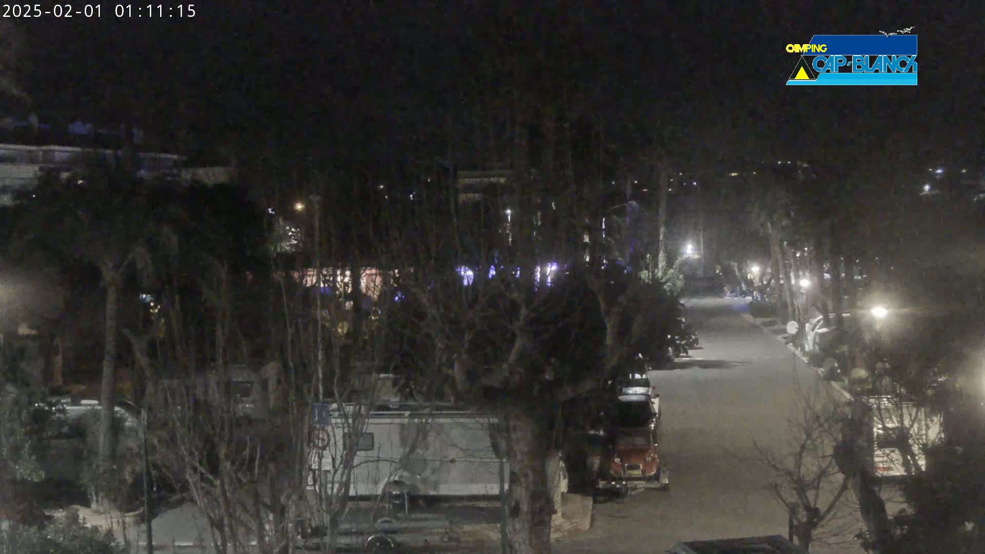 A nighttime view of a road lined with parked vehicles and trees, under dark, clear skies.