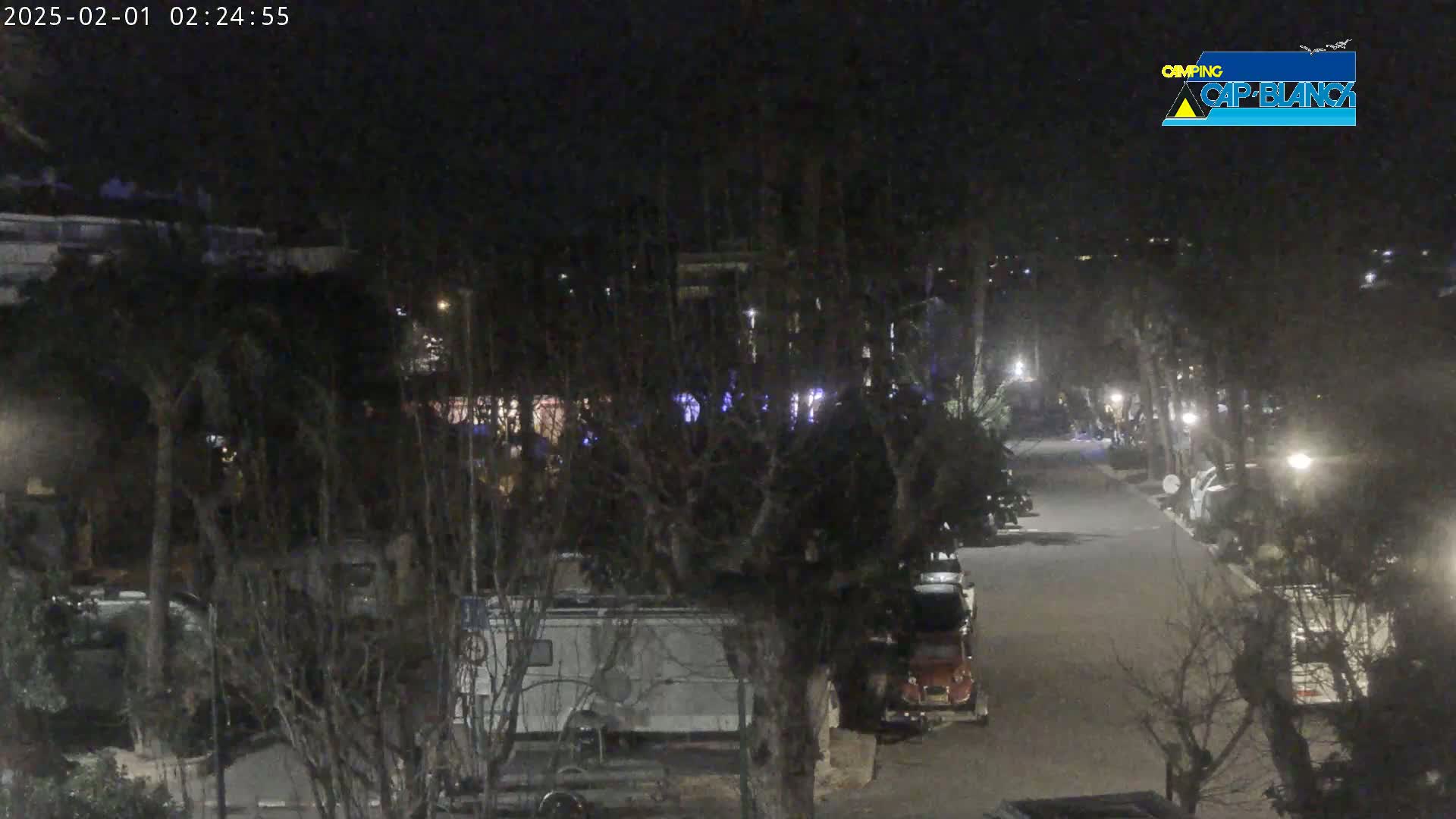 A nighttime, outdoor view of a paved road lined with parked vehicles and trees, under dark, clear skies.
