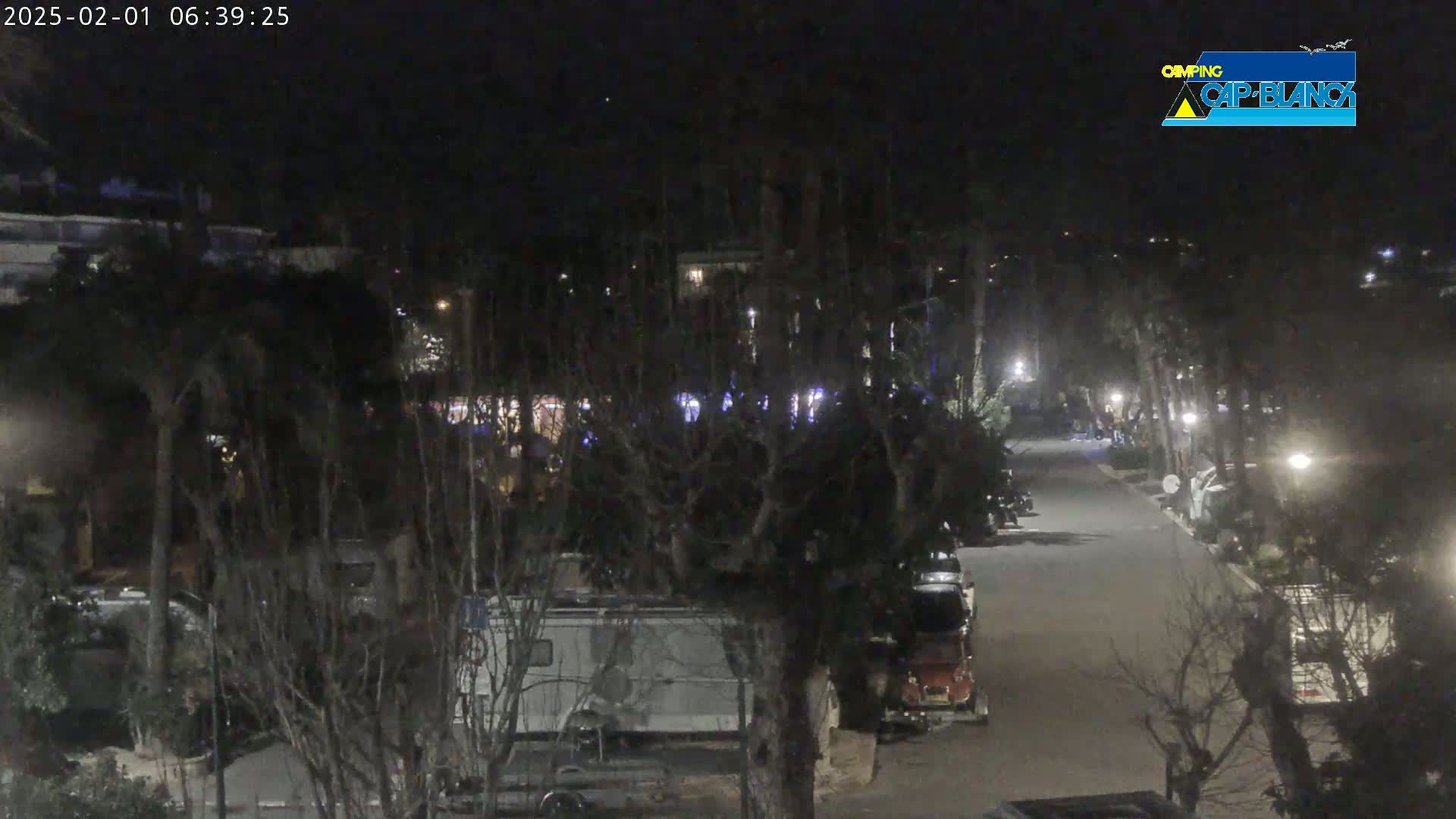 A nighttime view of a paved road lined with parked vehicles and trees, under dark, clear skies.