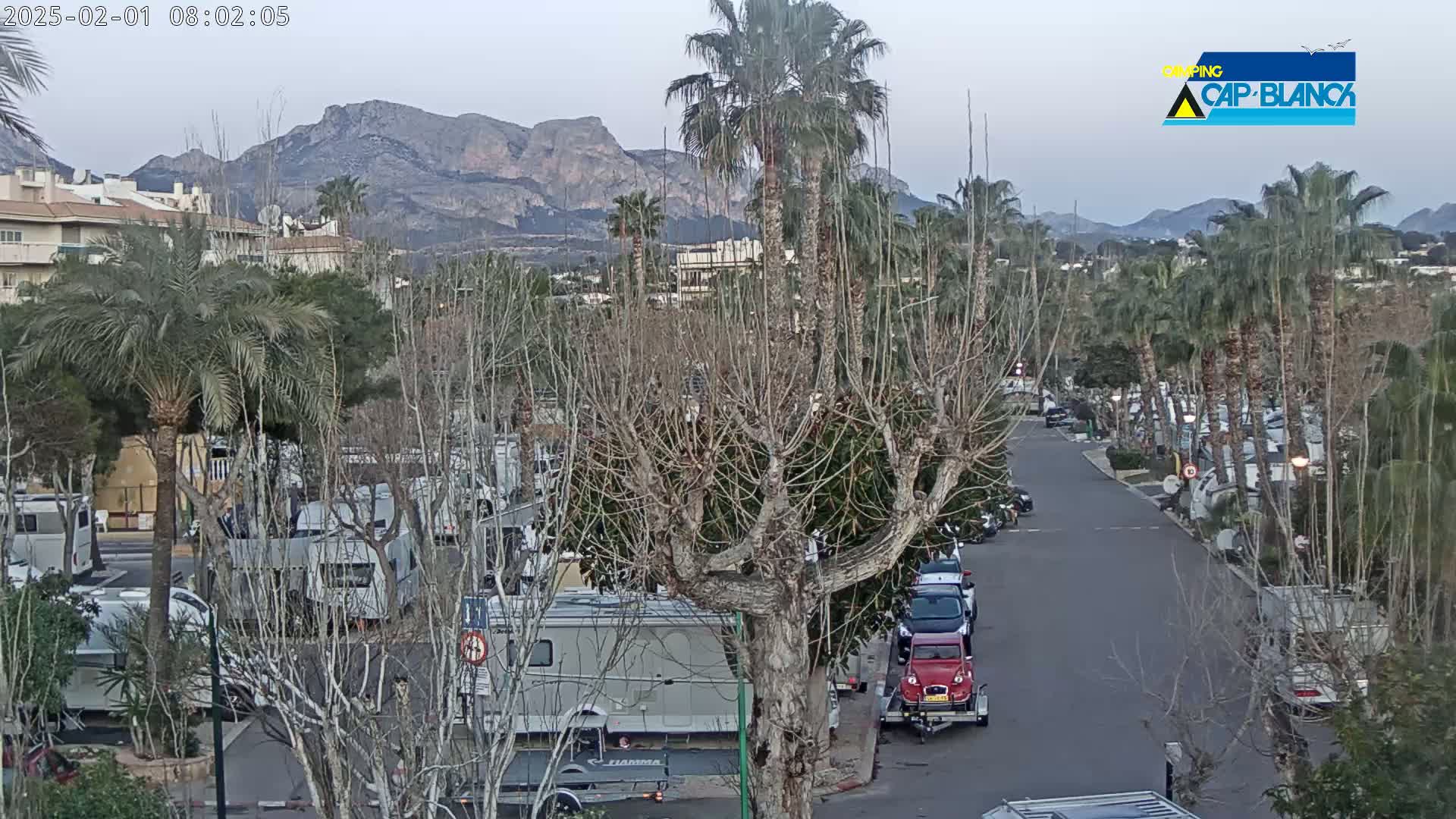 A mostly cloudy day reveals a parking lot full of RVs and cars, nestled between a row of palm trees and bare deciduous trees, with mountains in the background.