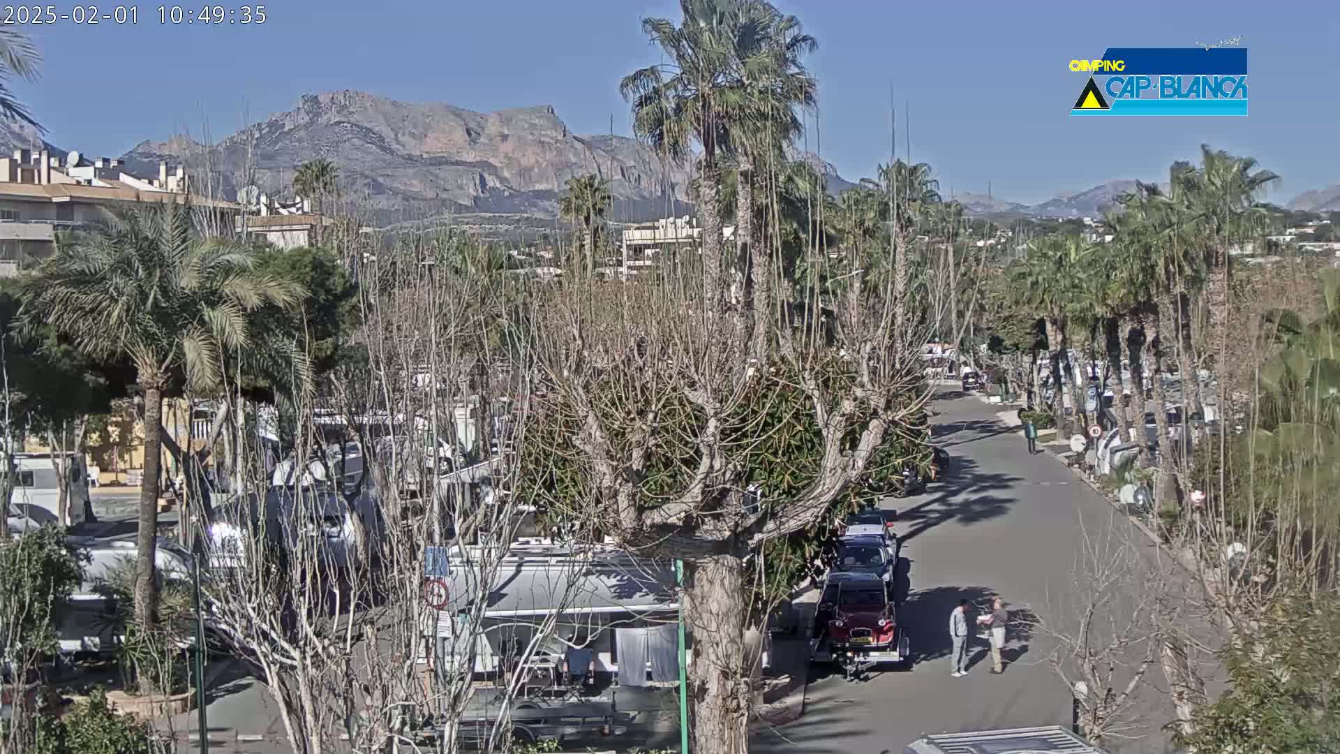 A paved road winds through a campground filled with RVs and palm trees, under a clear blue sky with mountains in the background.