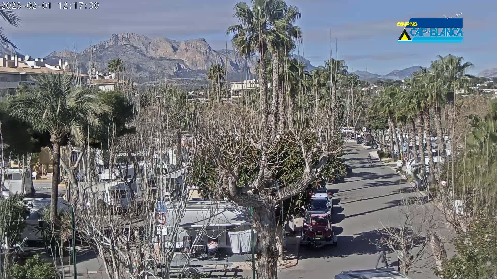 A sunny day reveals a roadway lined with palm trees and recreational vehicles parked amidst leafless trees and buildings, with mountains visible in the background.