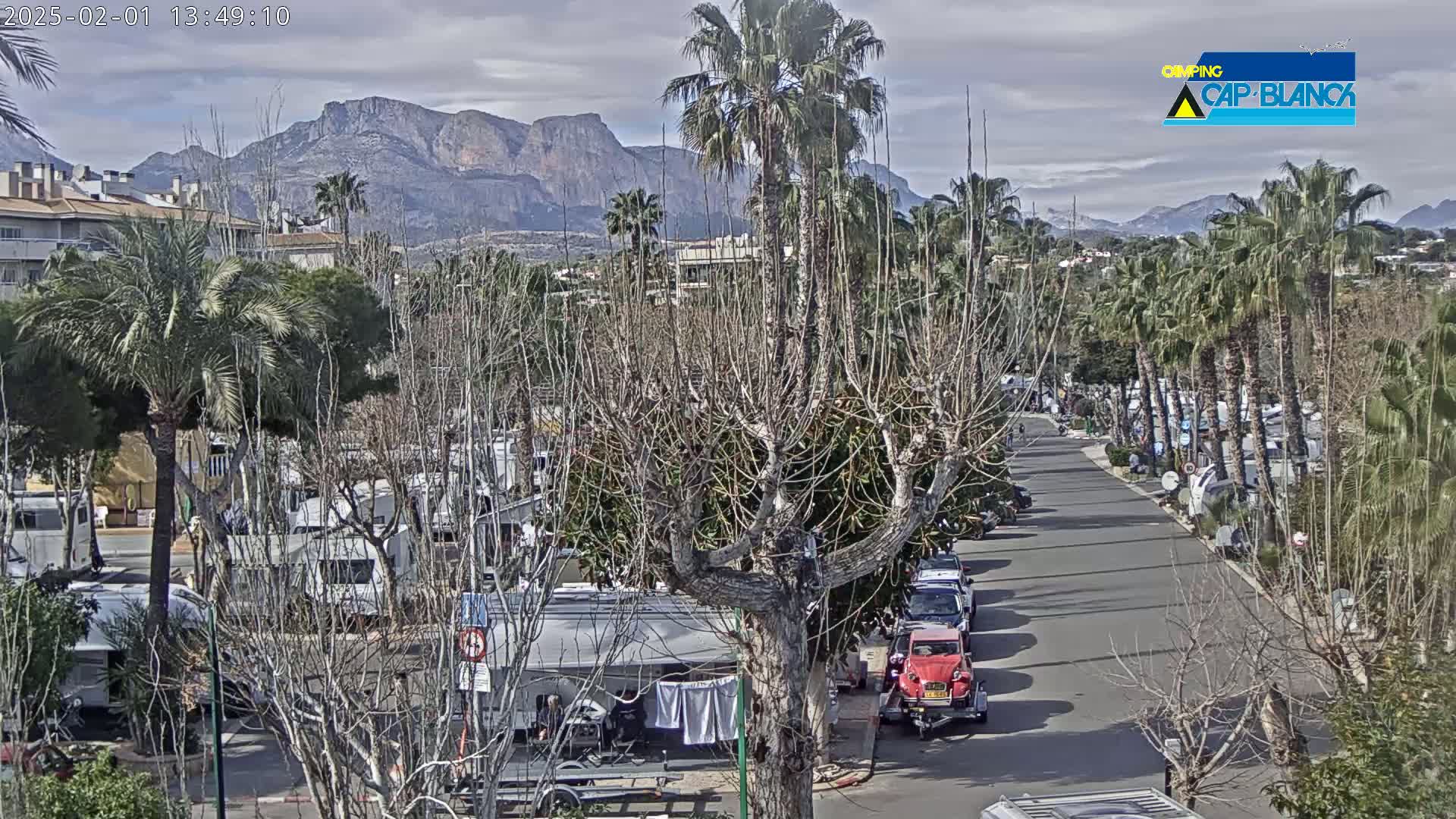 A paved road winds through a campground filled with RVs and palm trees, under a cloudy sky with mountains in the background.