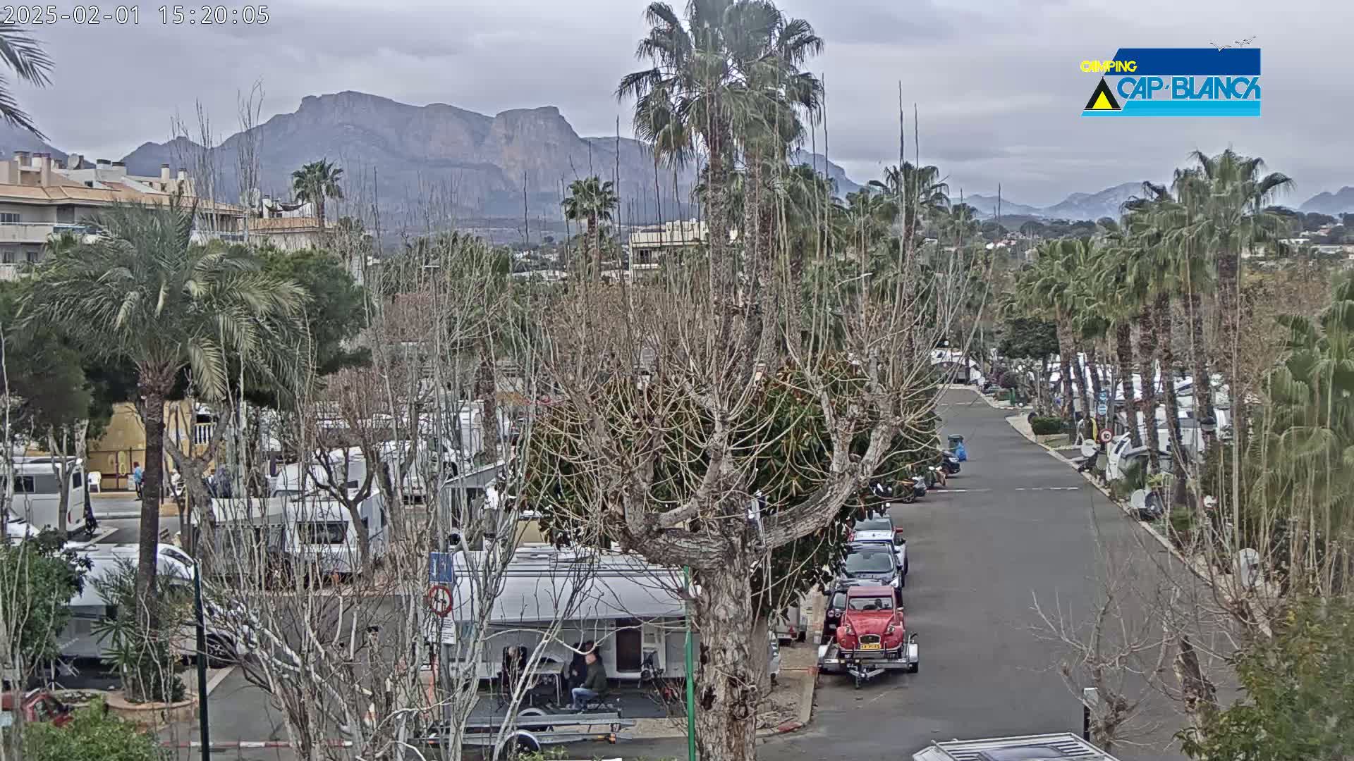 A paved road winds through a campground filled with RVs and palm trees, under an overcast sky with mountains in the background.