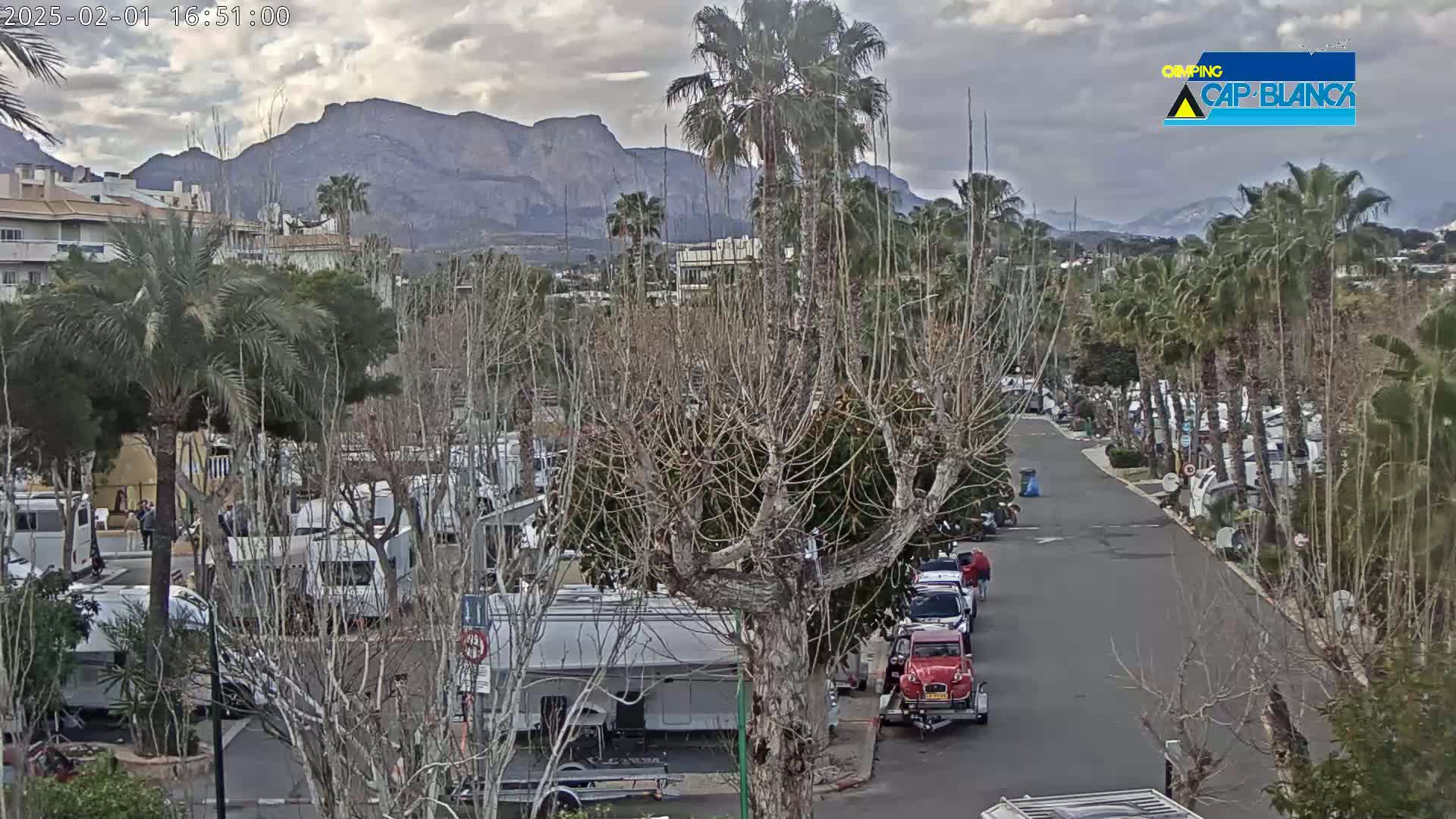 A campervan park with numerous RVs and cars under a cloudy sky, situated near palm trees and mountains.