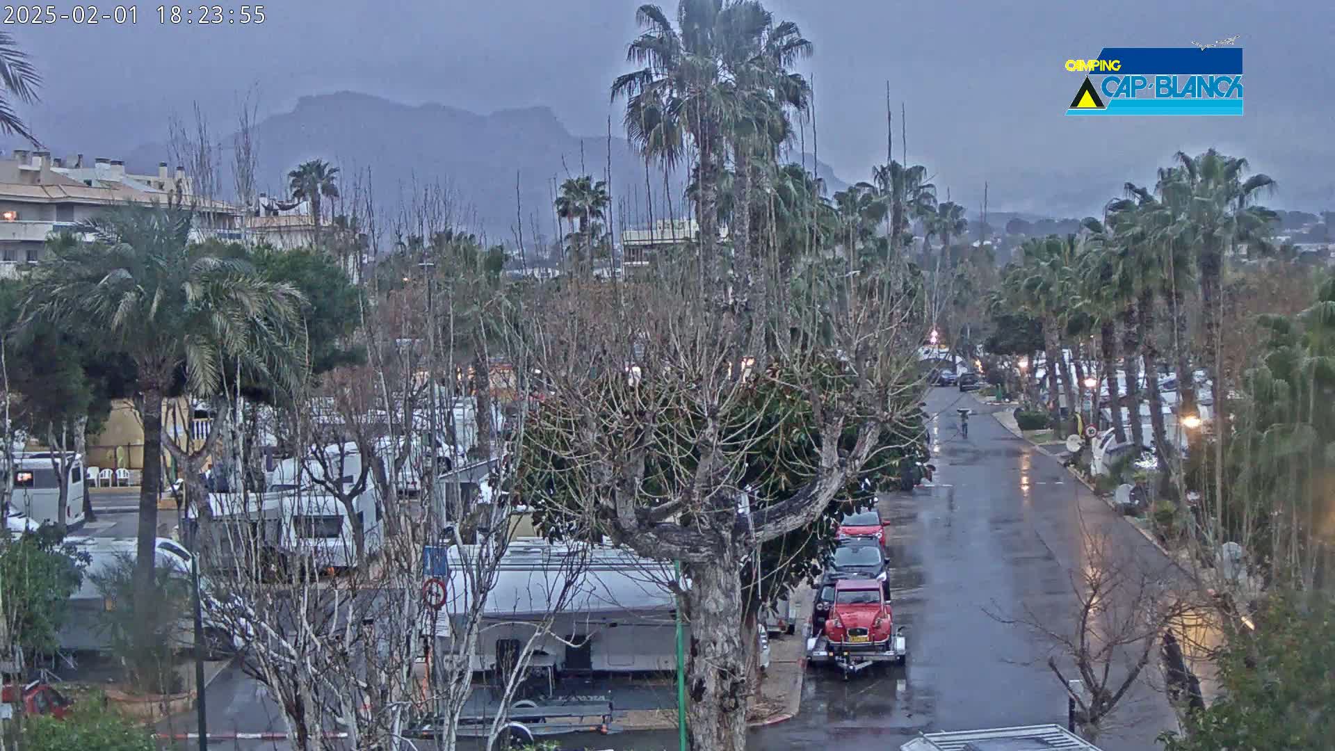 A rain-slicked road winds through a campground filled with RVs and palm trees under a cloudy sky, with mountains visible in the distance.