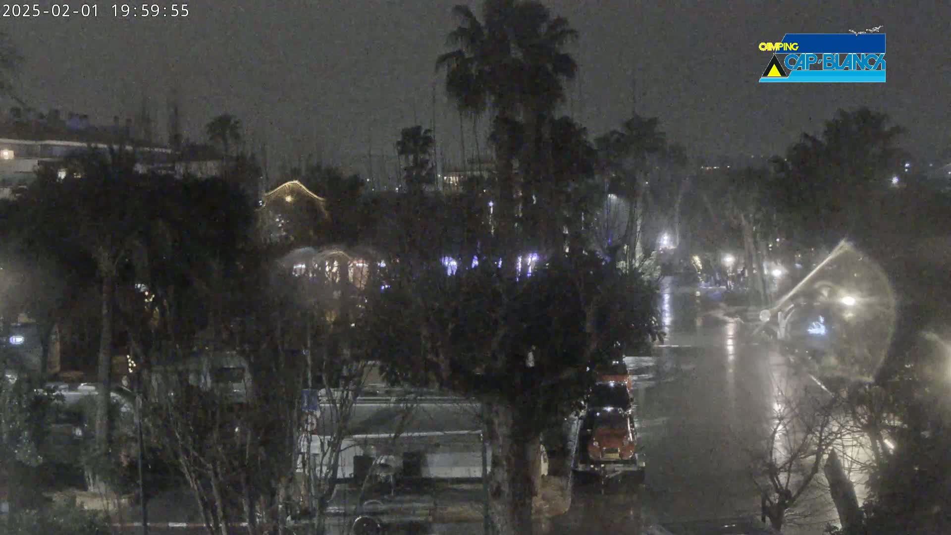 A nighttime scene of a rain-soaked street lined with palm trees and buildings, with vehicles visible.