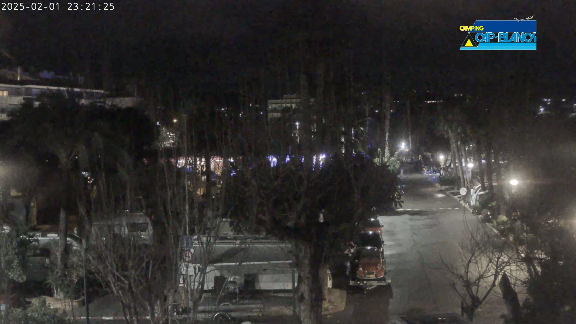 A nighttime, outdoor view of a roadway lined with trees and parked vehicles in a campground.