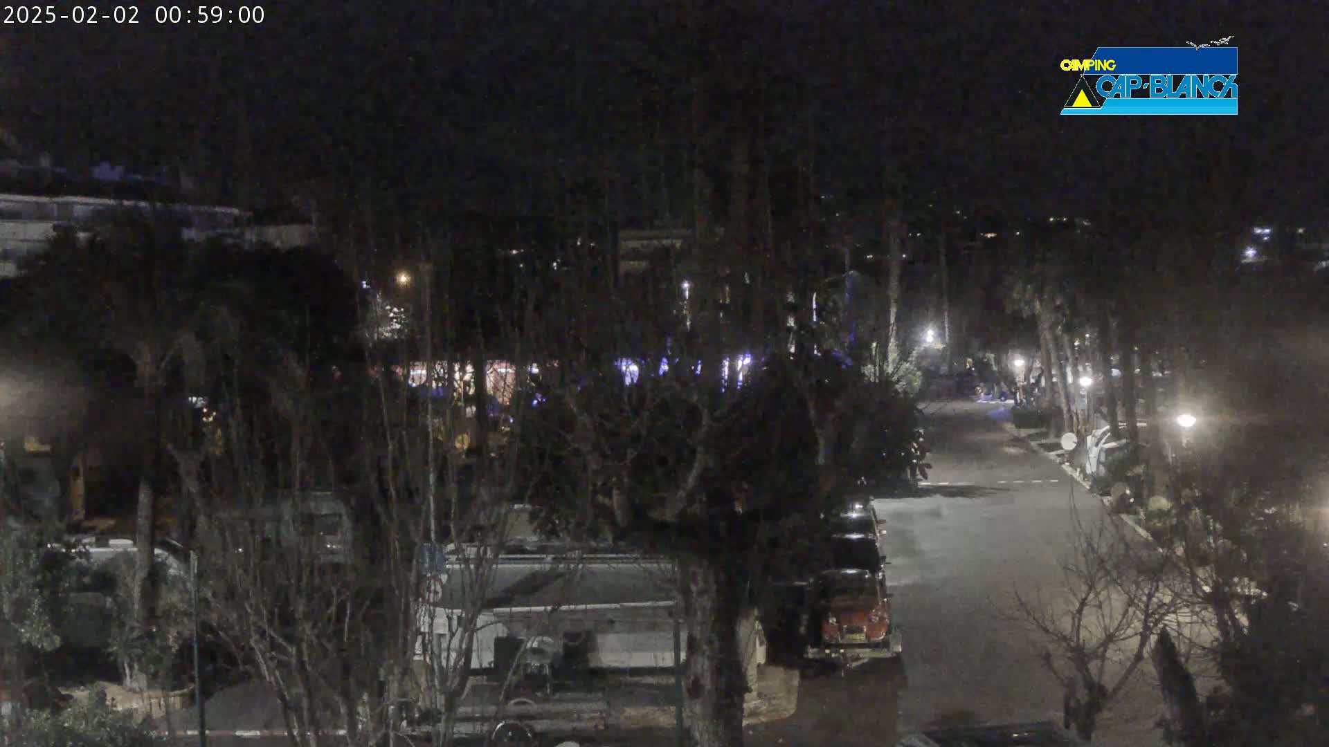 A nighttime view of a paved road in a campground, lined with trees, parked vehicles, and outdoor lighting.