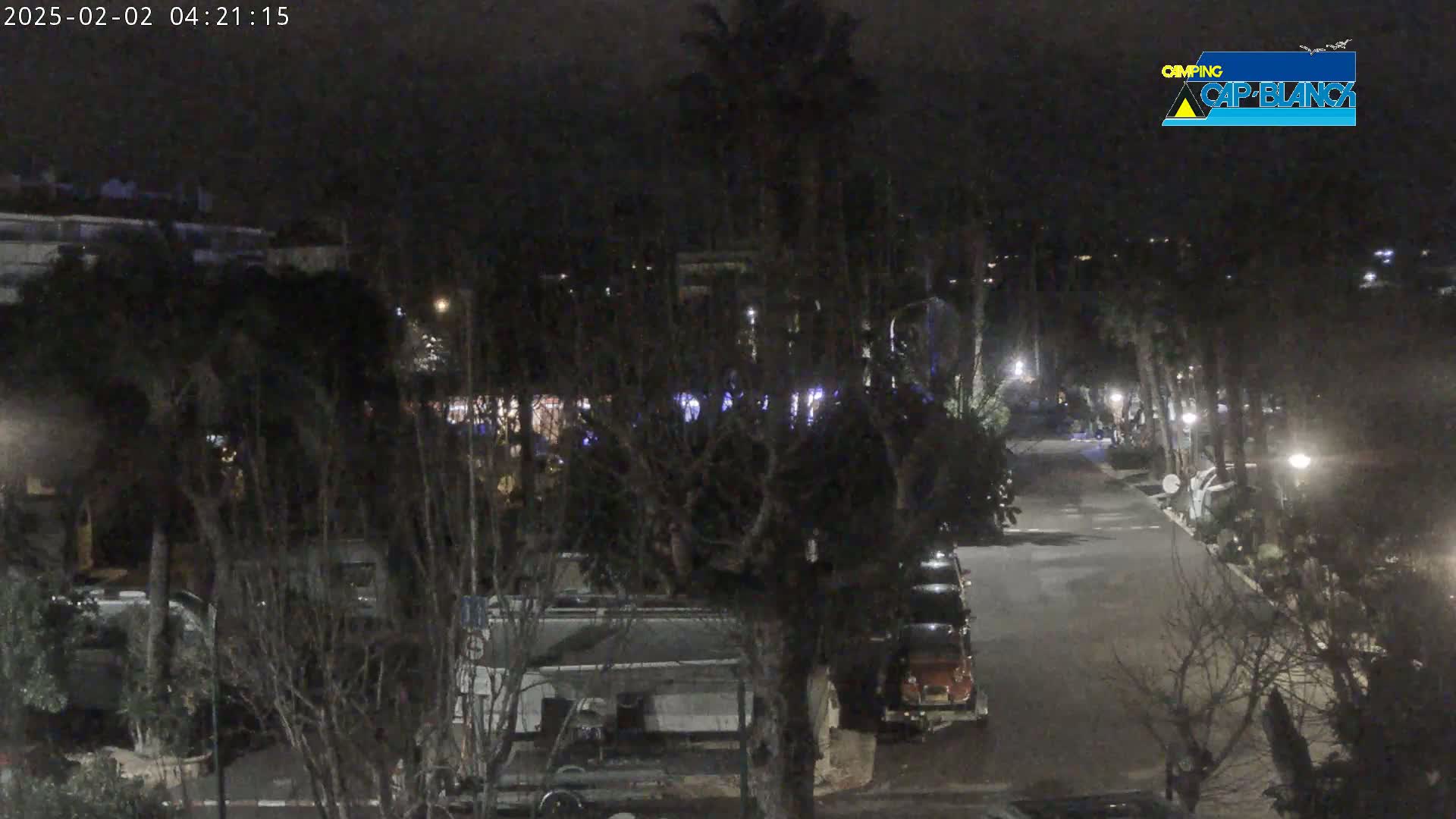A nighttime view of a paved road lined with trees and recreational vehicles parked along the sides, under a clear, dark sky.