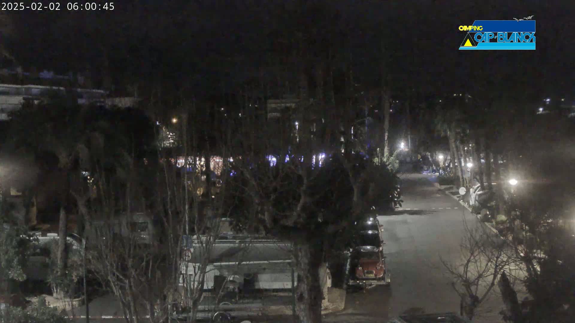 A nighttime, outdoor scene shows a paved road lined with parked vehicles and trees, with some lights visible in the background.