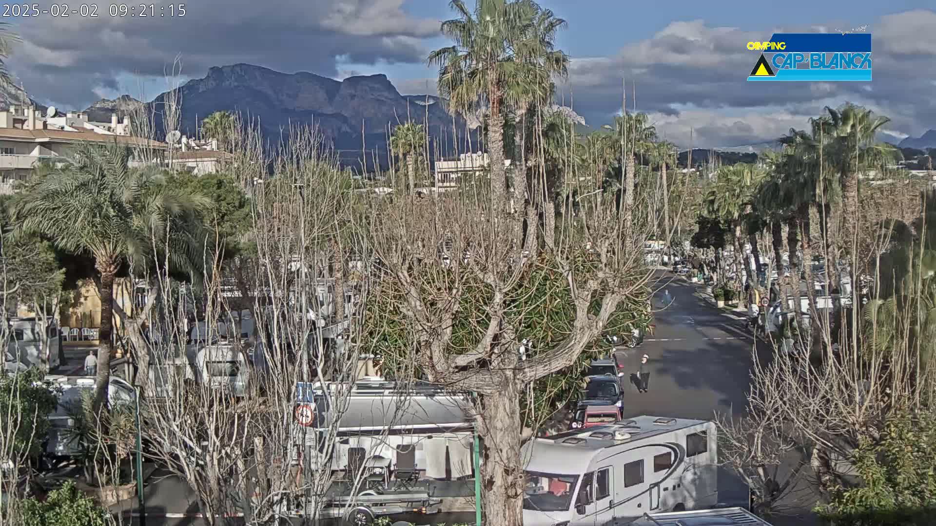 A partly cloudy day reveals a mountainous landscape behind a street lined with bare trees and recreational vehicles, with palm trees interspersed among them.