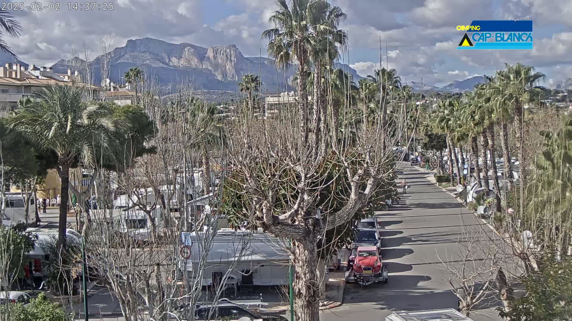 A partly cloudy day reveals a street lined with palm trees and RVs, with mountains in the background.