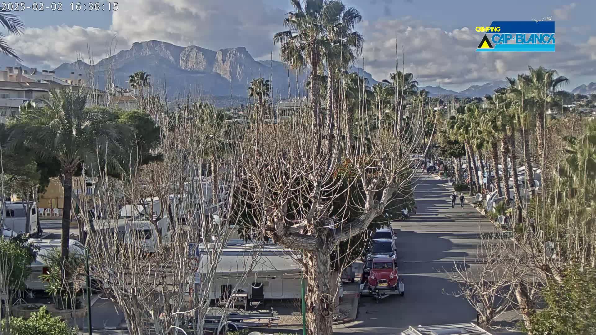 A paved road lined with palm trees and bare deciduous trees winds through a campground with numerous RVs parked, all set against a backdrop of mountains under a partly cloudy sky.