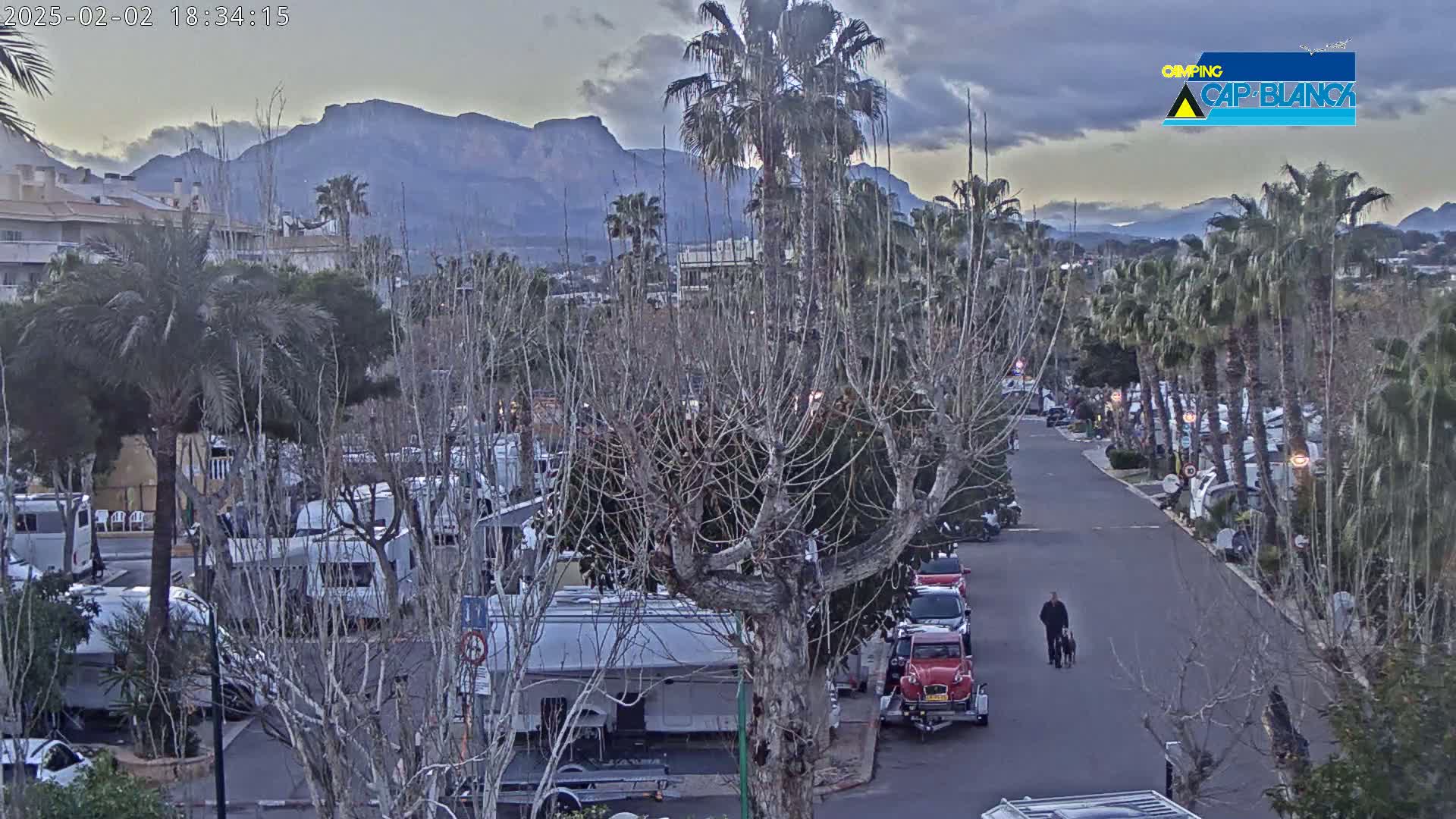 A man walks a dog down a paved road lined with RVs and palm trees, mountains in the background under an overcast sky.