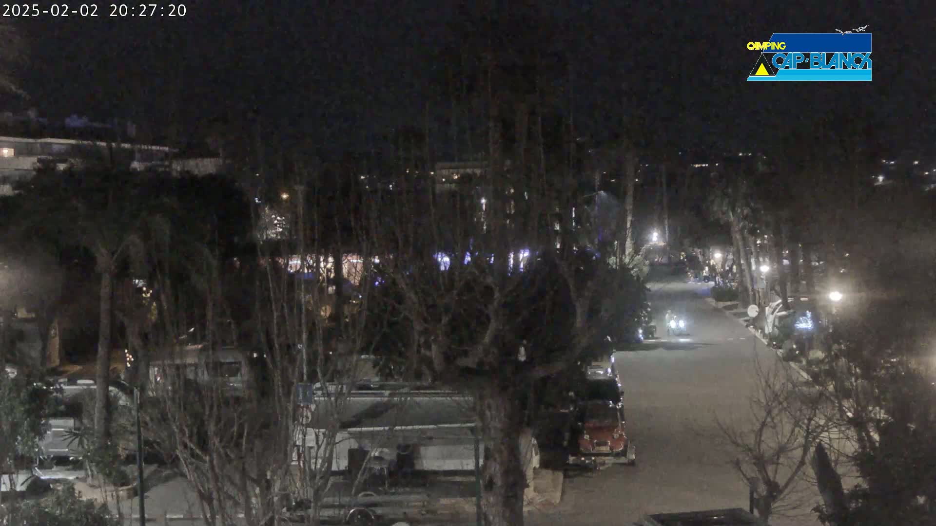 A nighttime view of a street lined with parked recreational vehicles and bare trees under a dark sky.
