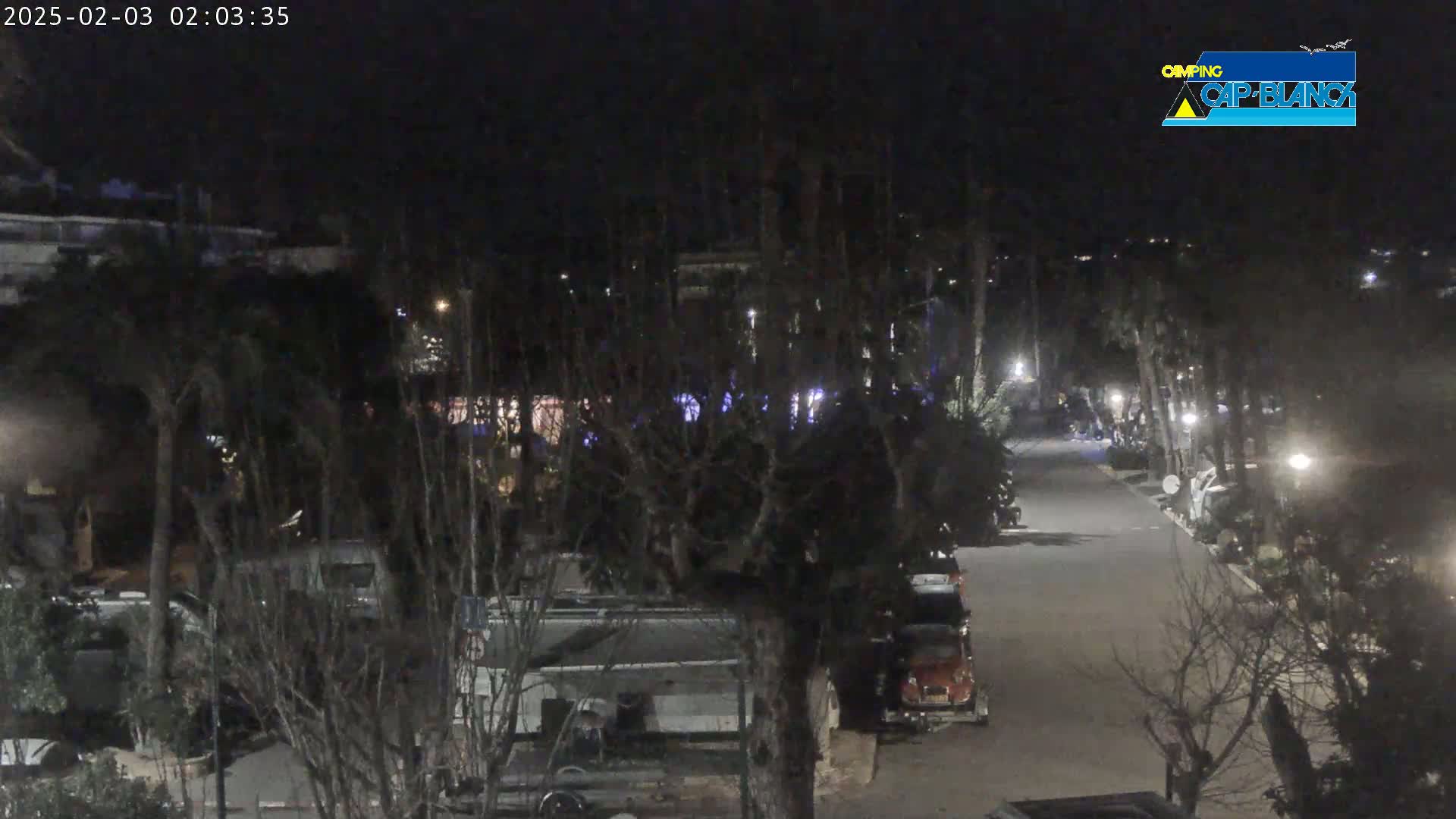 A nighttime, outdoor view of a paved road lined with parked vehicles and trees, illuminated by streetlights.