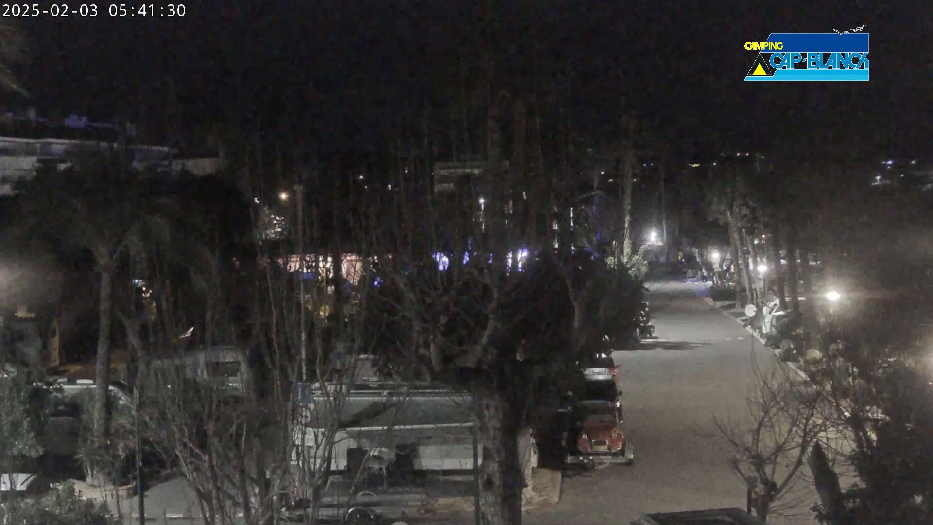 A nighttime view of a roadway lined with parked vehicles and bare trees under dark, clear skies.