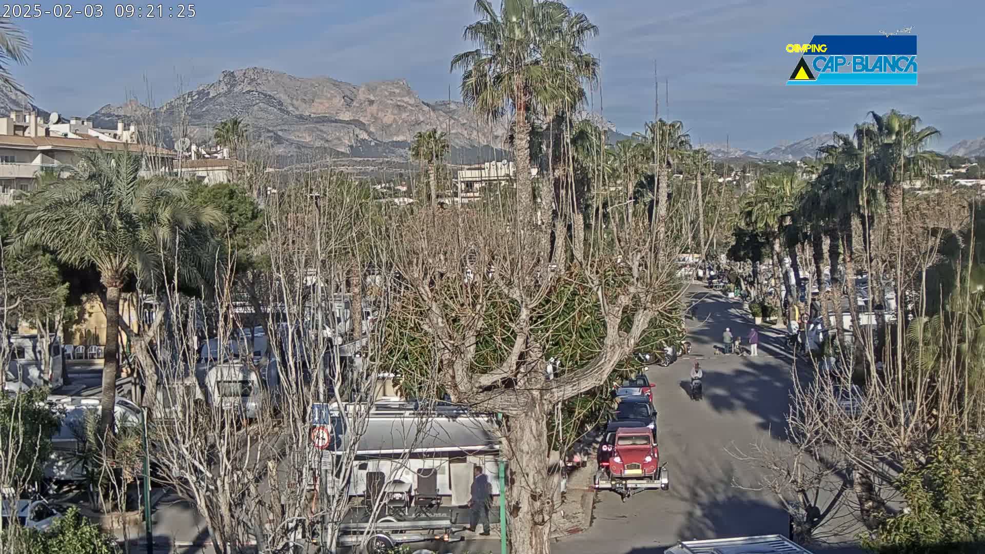 A sunny day reveals a campground nestled among palm trees and bare deciduous trees, with mountains in the background and several vehicles parked and on the road.
