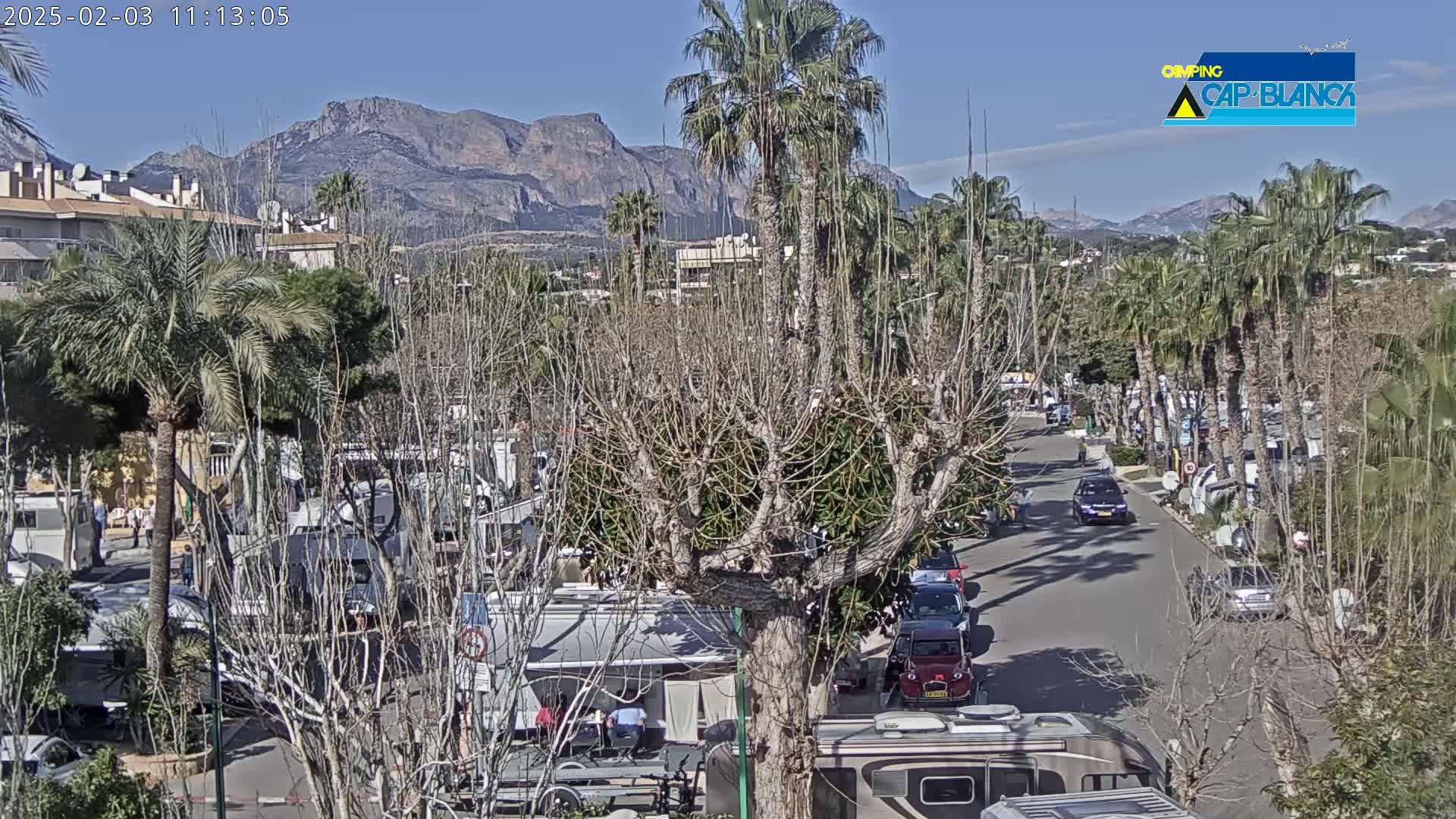 A sunny day reveals a campground nestled among palm trees and bare deciduous trees, with mountains in the background and cars parked along a roadway.