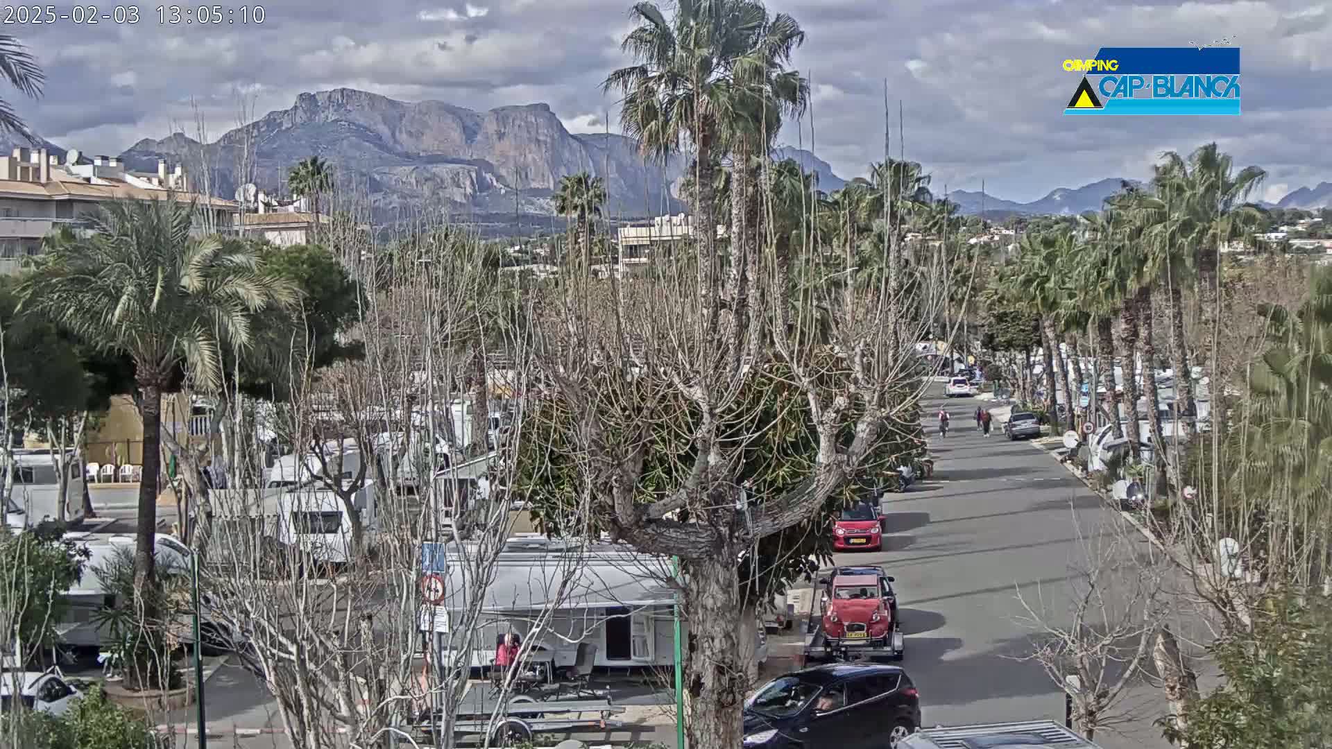 A paved road lined with palm trees and recreational vehicles, with mountains in the background under a partly cloudy sky.