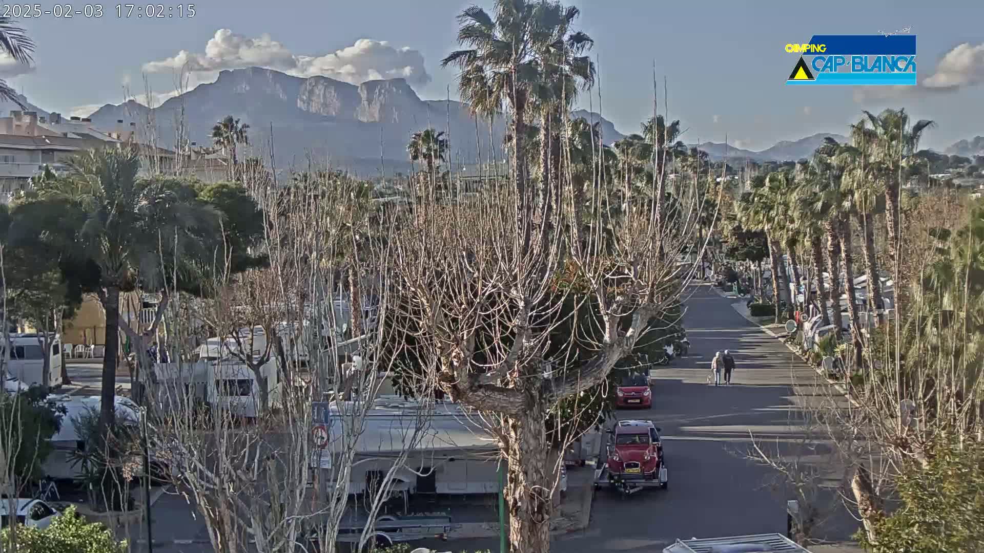 A paved road winds through a campground with numerous RVs, palm trees, and bare deciduous trees, under a mostly sunny sky with mountains in the background.