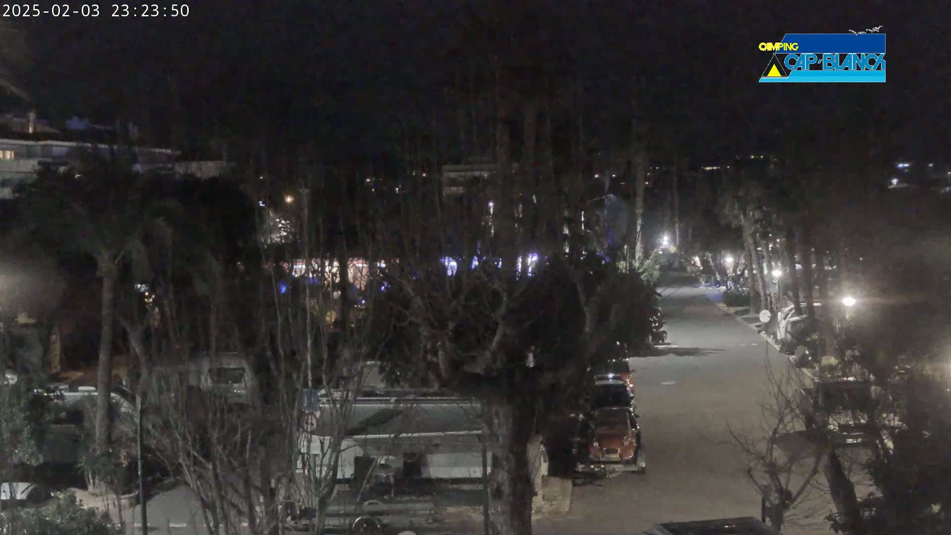 A nighttime view of a roadway lined with parked RVs and trees, under a dark sky.
